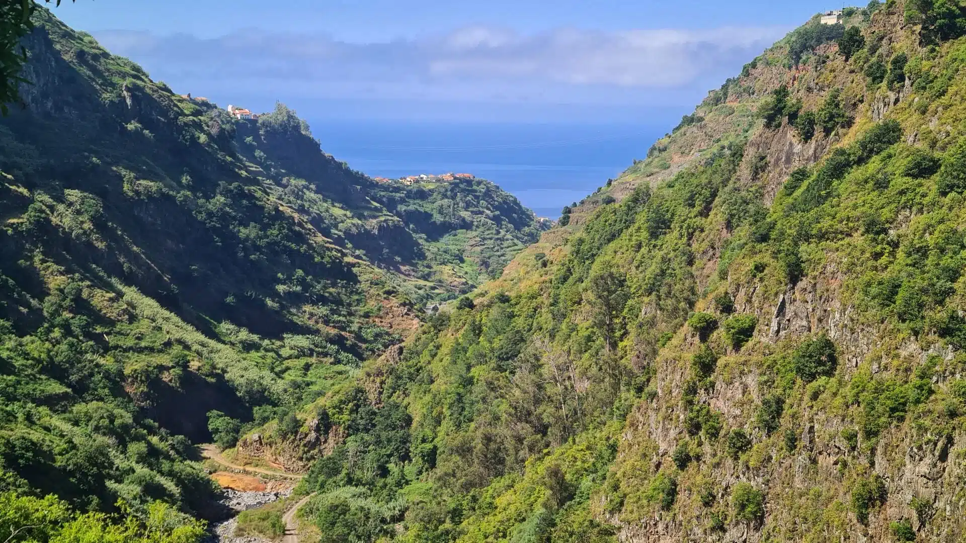 Levada Walks