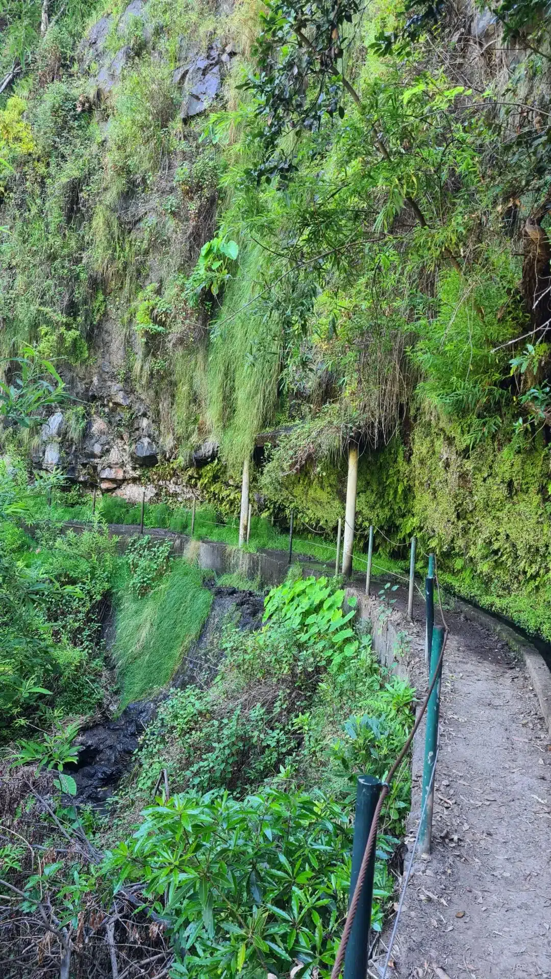 levada nova - hiking transfers
