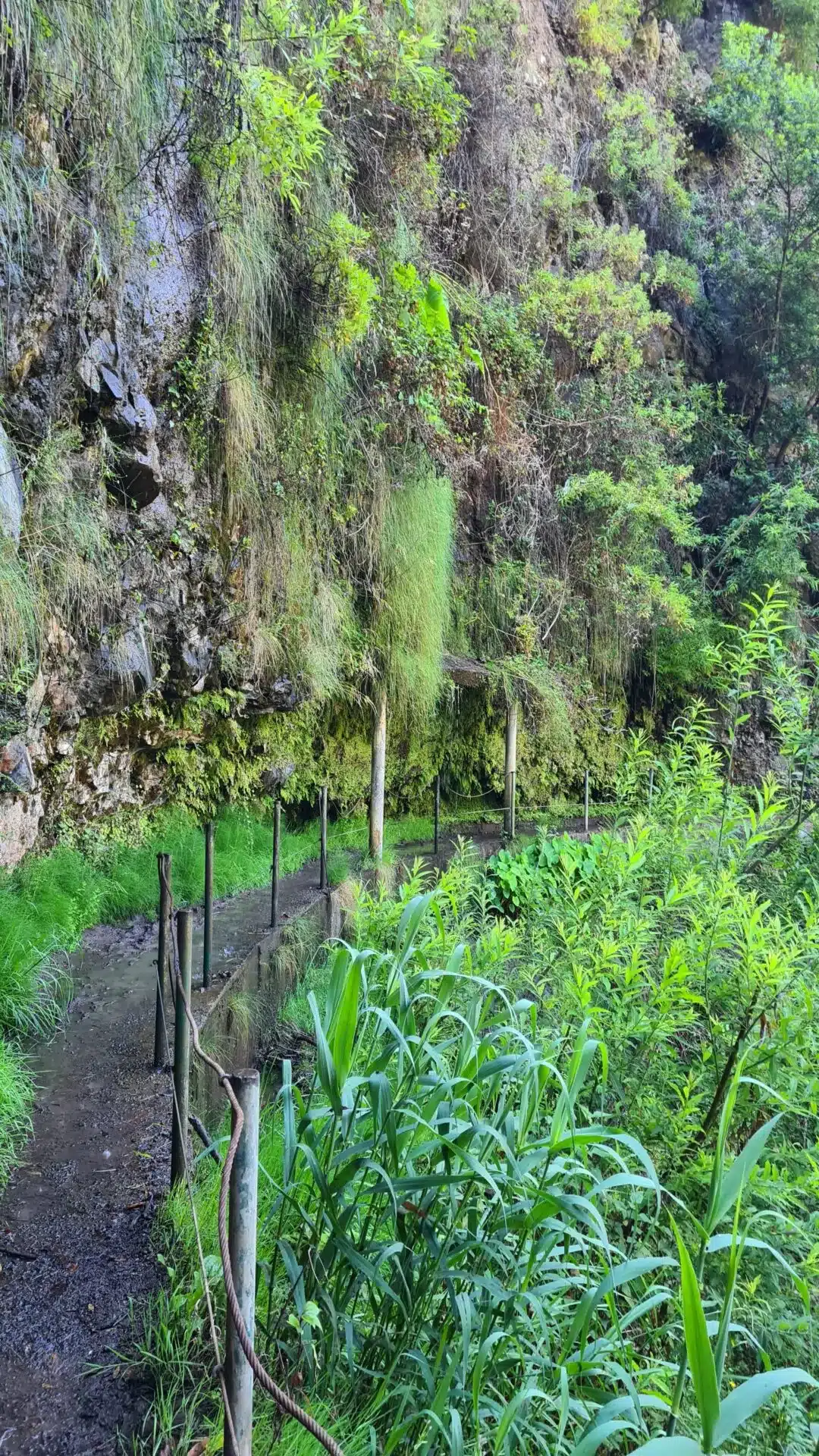 levada nova - hiking transfers