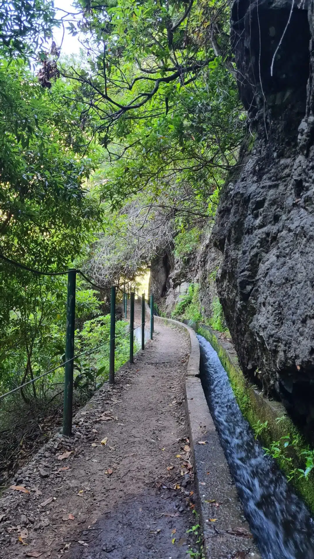 levada nova - hiking transfers