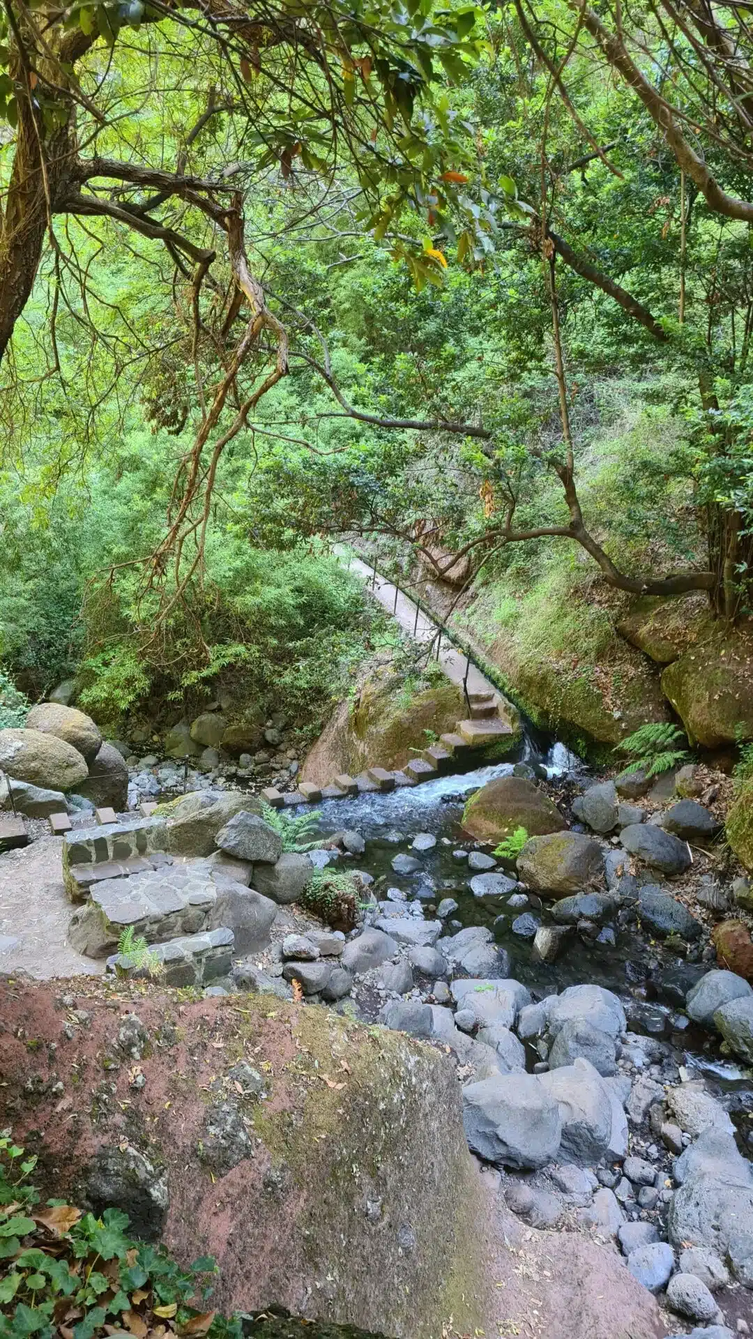 levada nova - hiking transfers