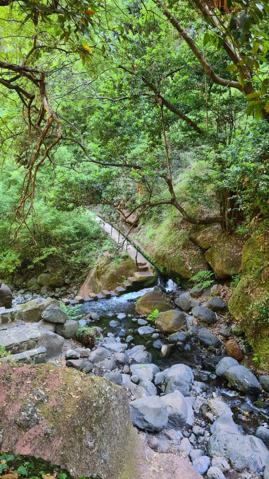 levada nova - hiking transfers