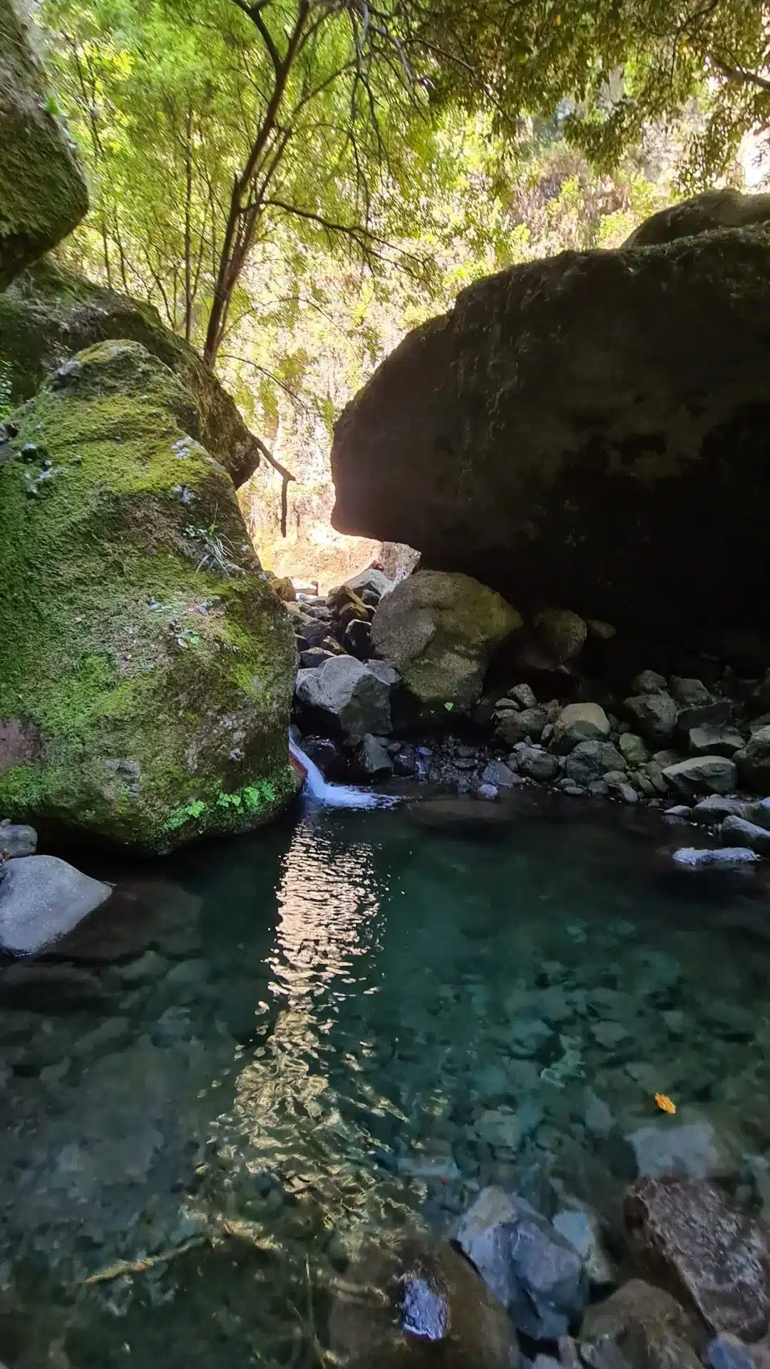 levada nova - hiking transfers