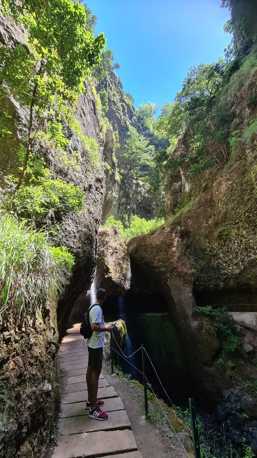 levada nova - hiking transfers