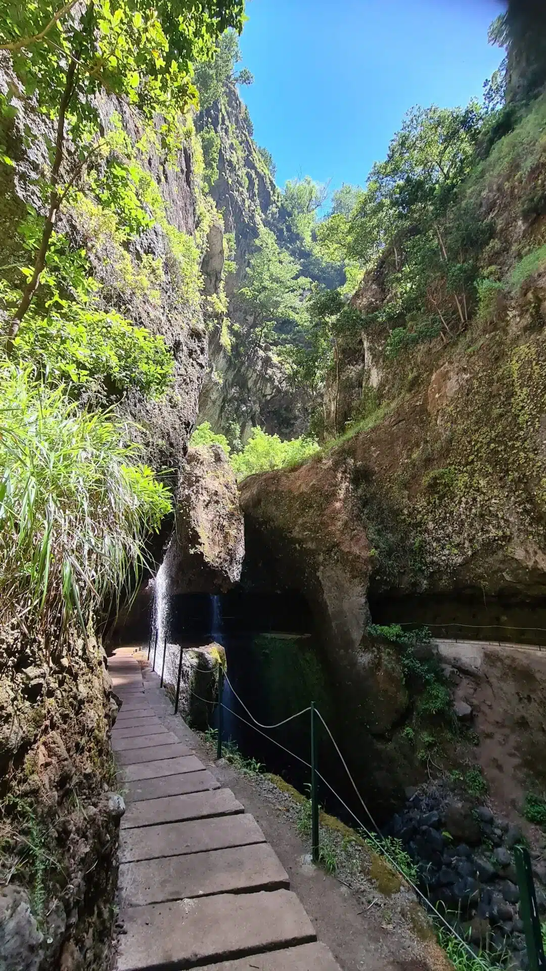 levada nova - hiking transfers