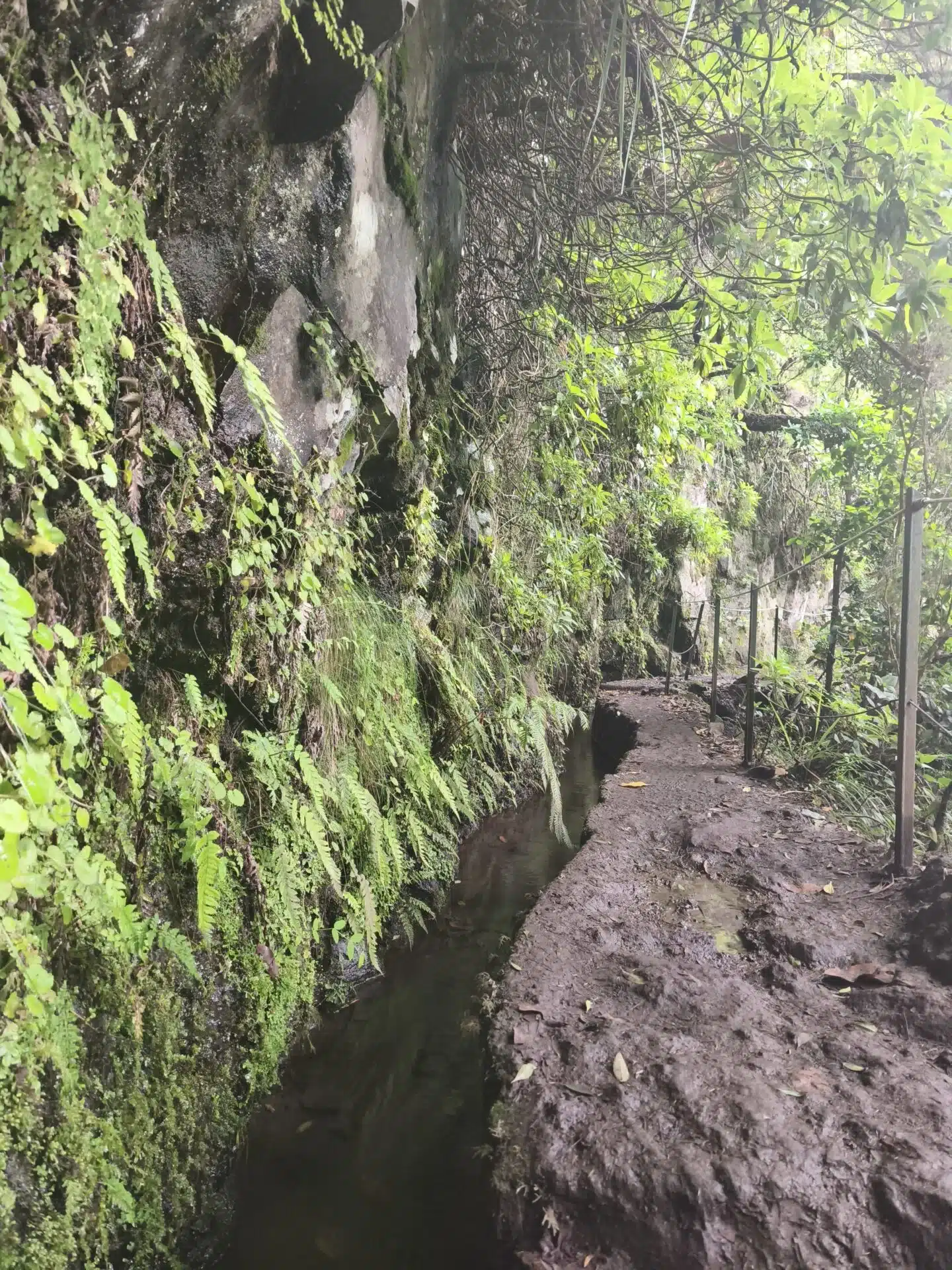caldeirao verde - hiking transfers