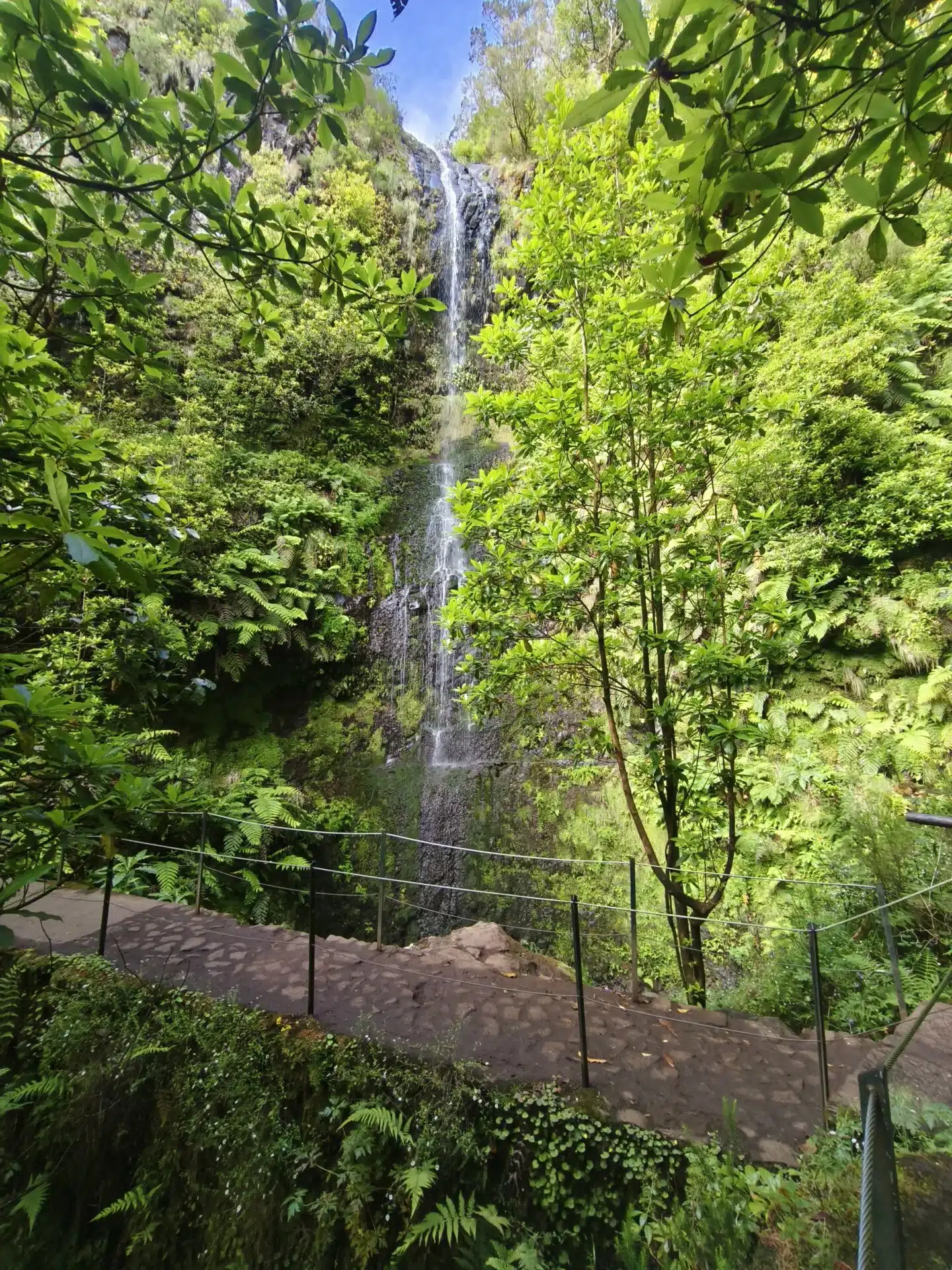 caldeirao verde - hiking transfers