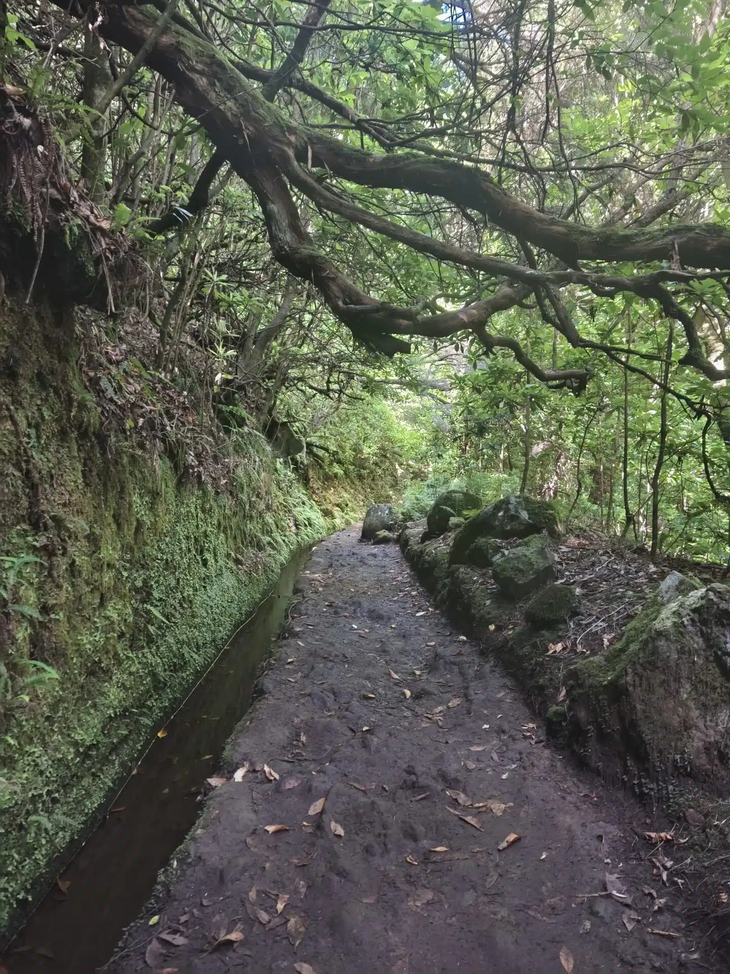 caldeirao verde - hiking transfers