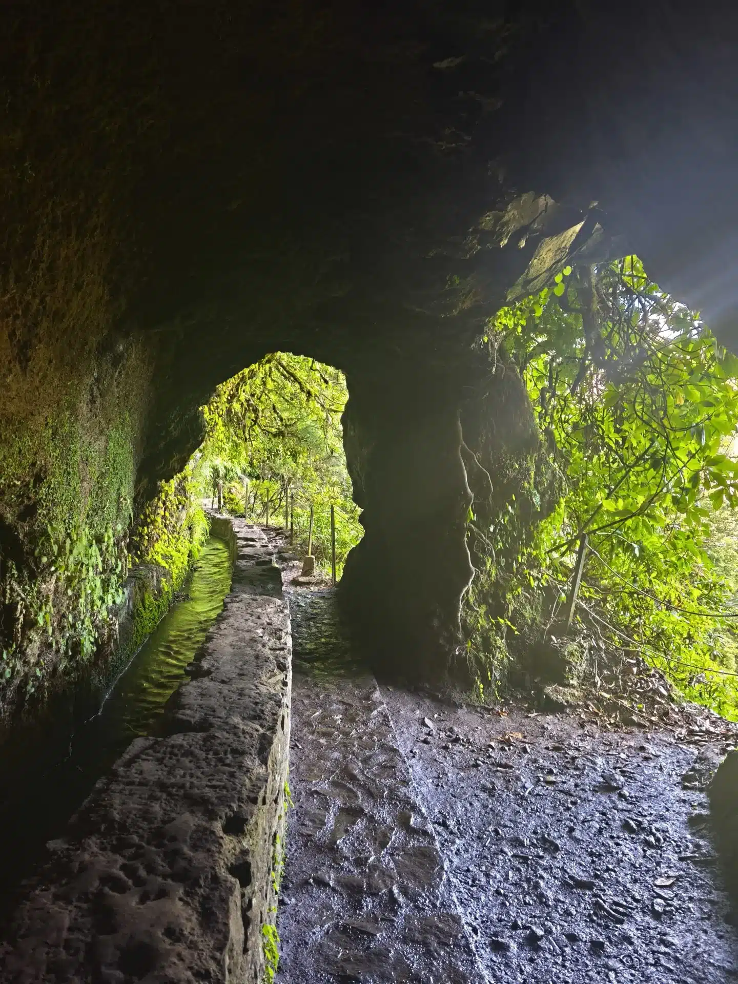 caldeirao verde - hiking transfers