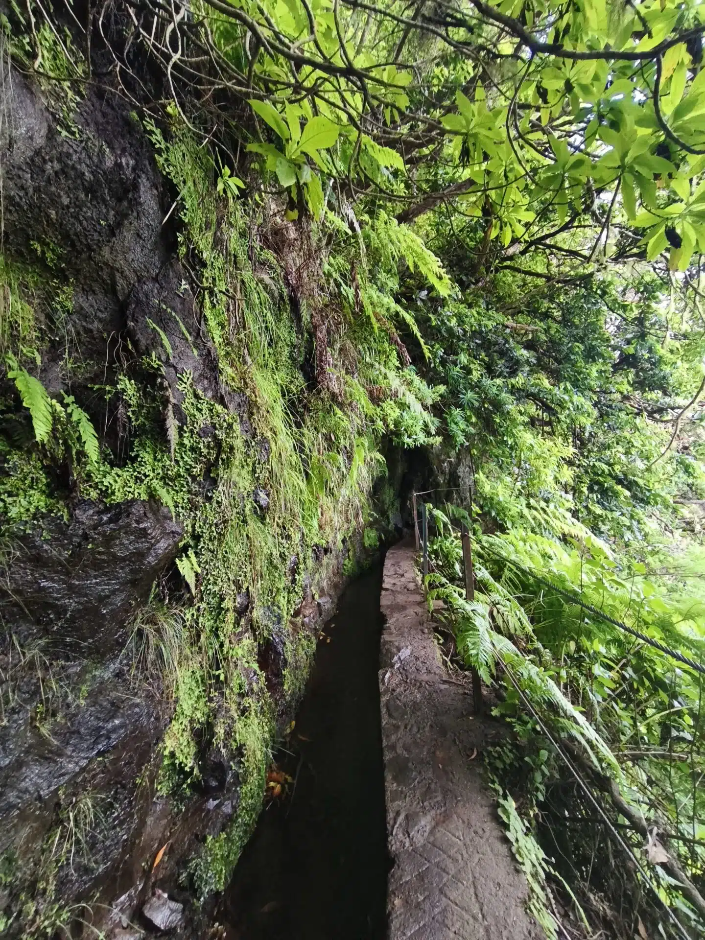 caldeirao verde - hiking transfers