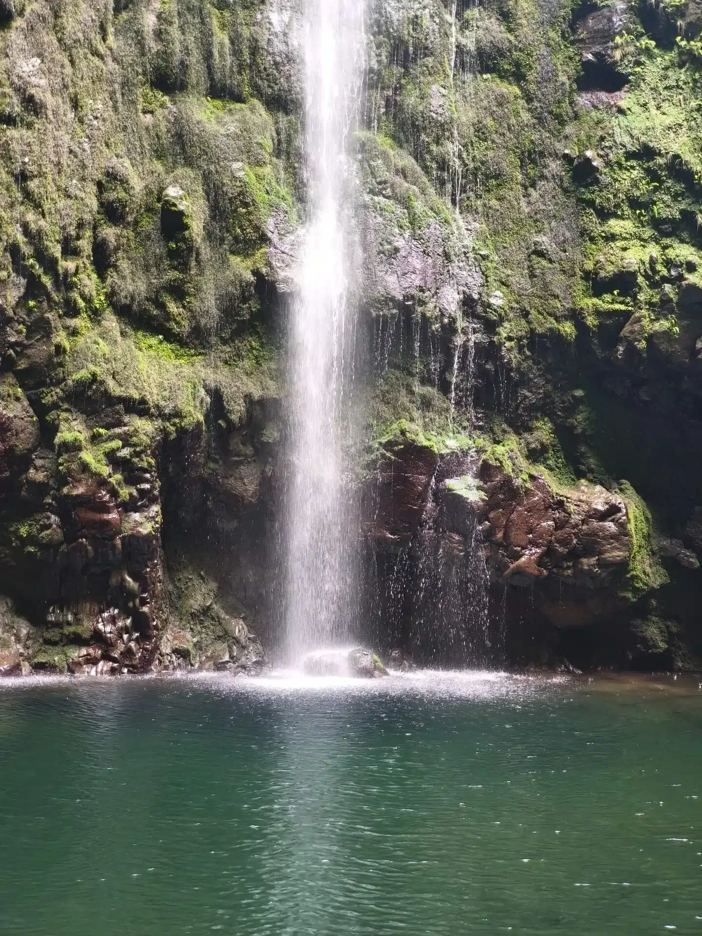 caldeirao verde - hiking transfers