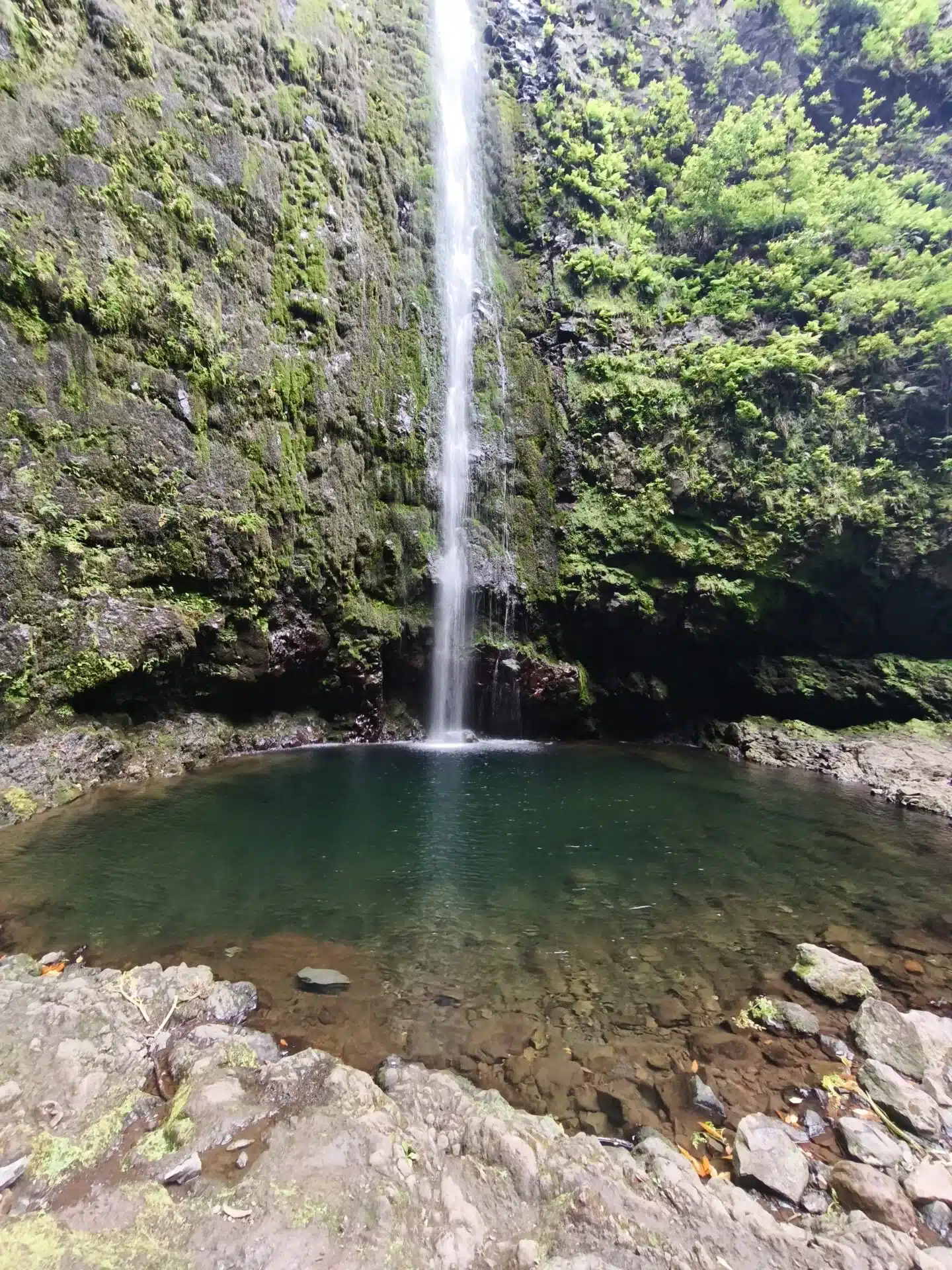 caldeirao verde - hiking transfers
