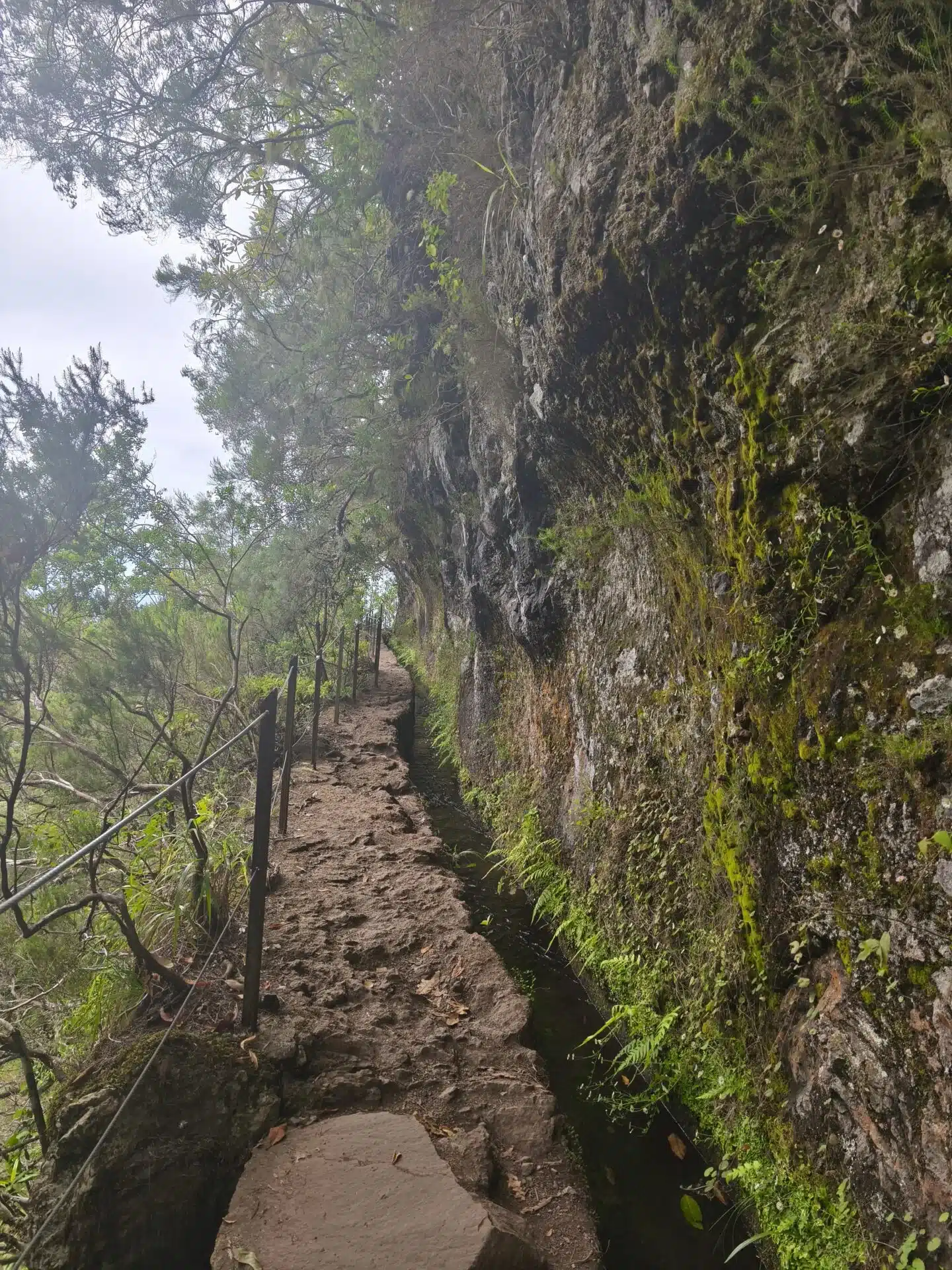 caldeirao verde - hiking transfers