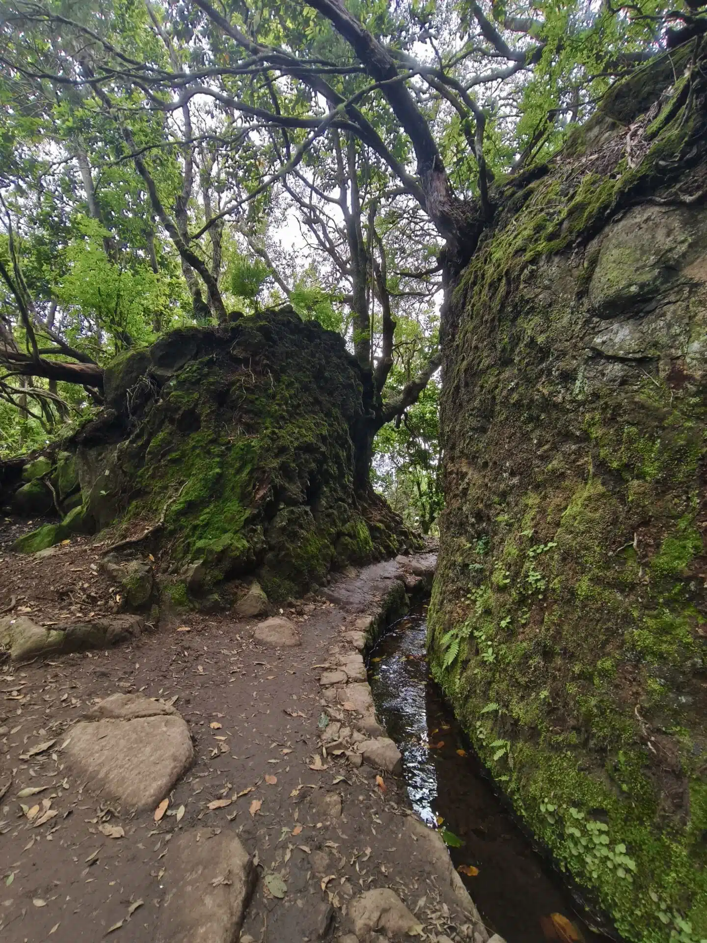 caldeirao verde - hiking transfers