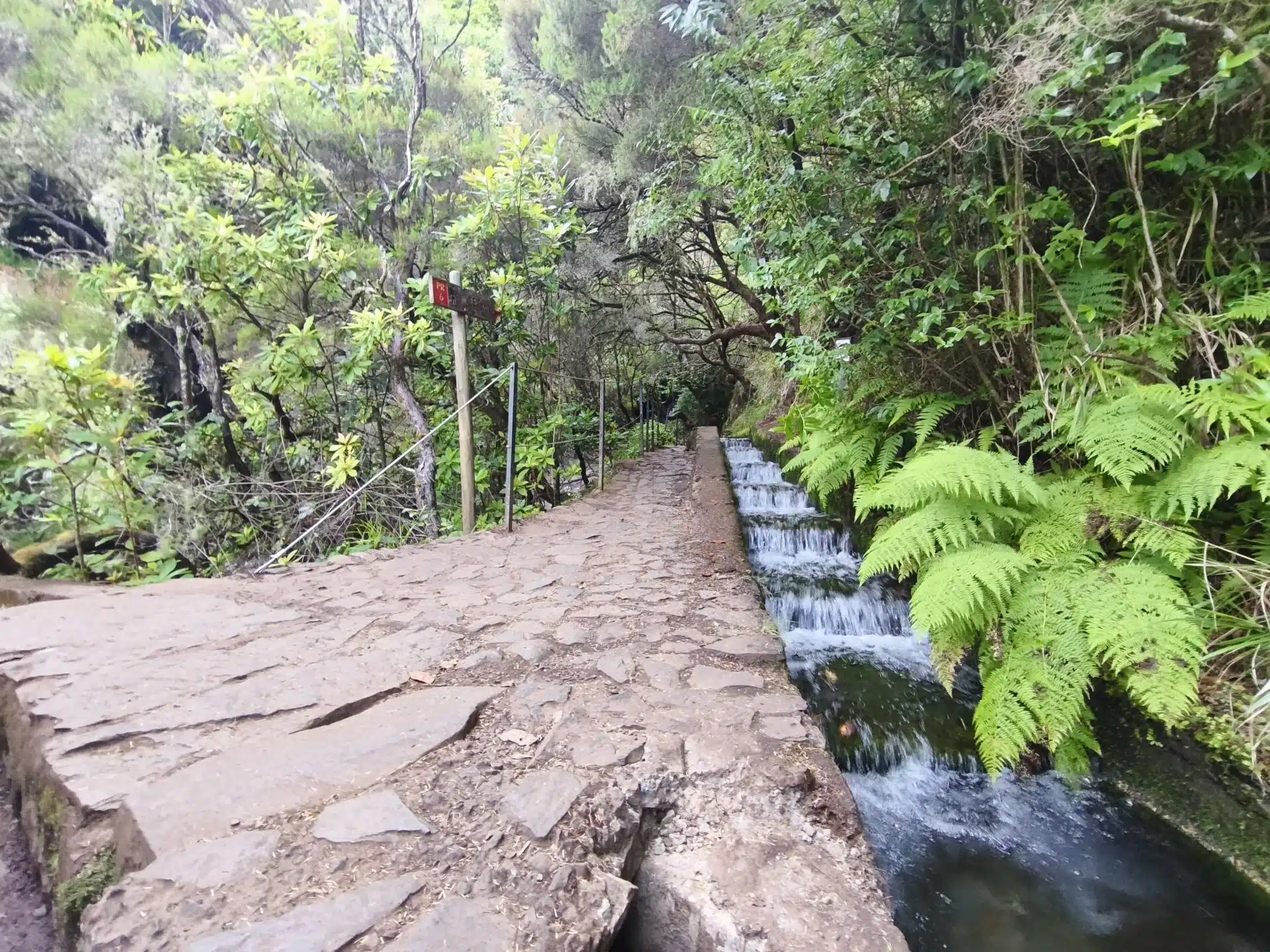 25 fontes - hiking transfers