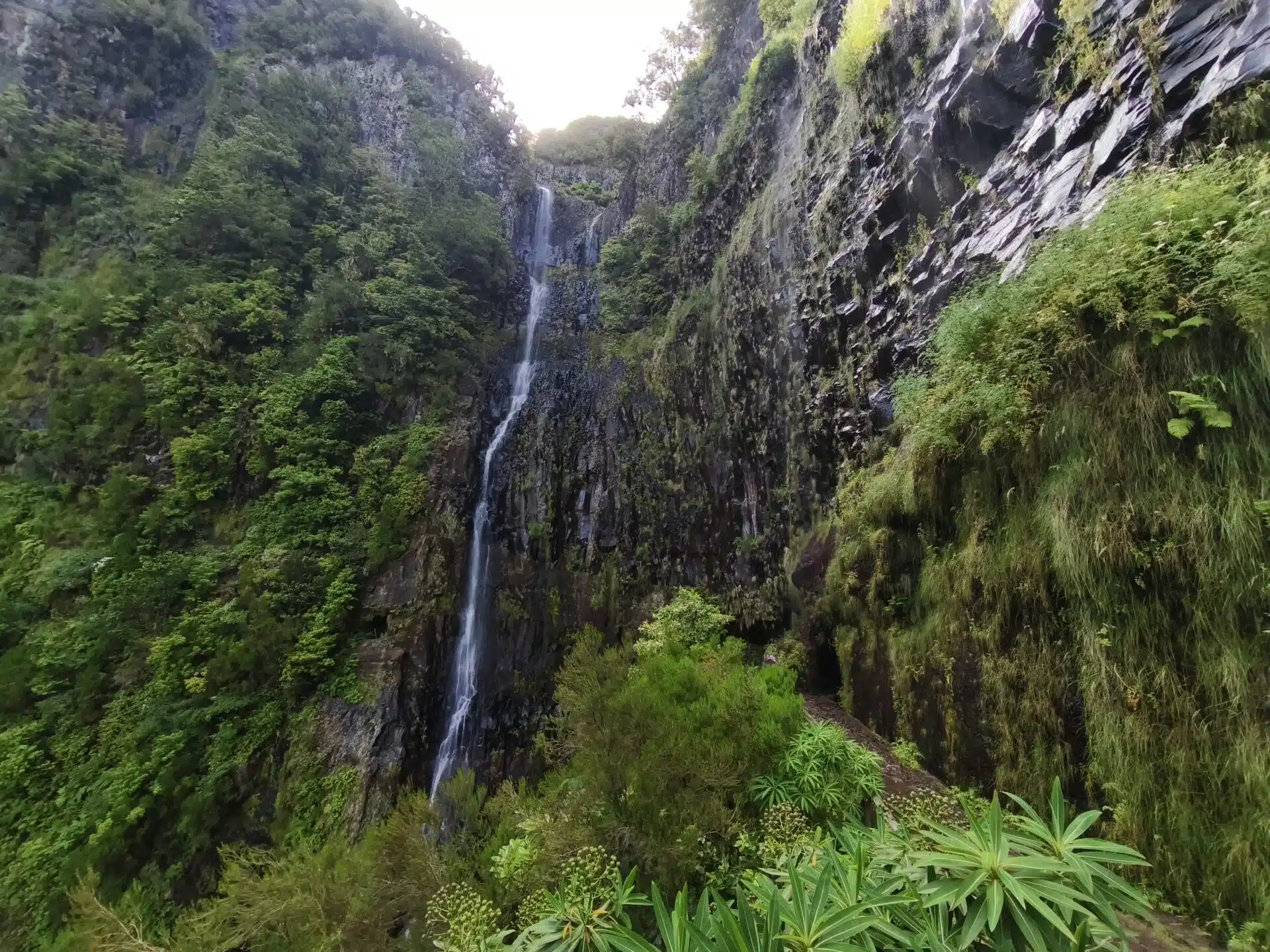 25 fontes - hiking transfers