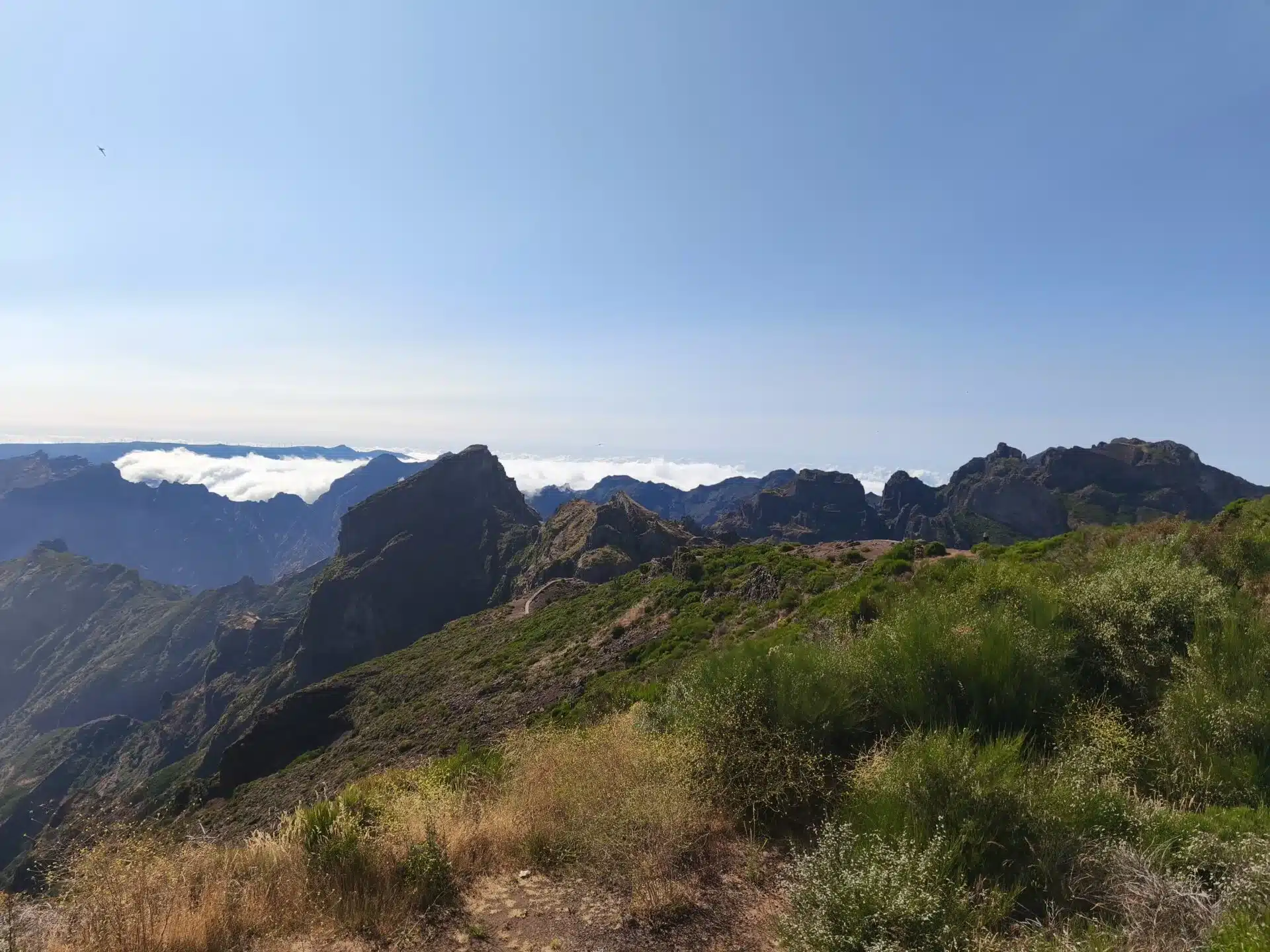 pico - hiking transfers