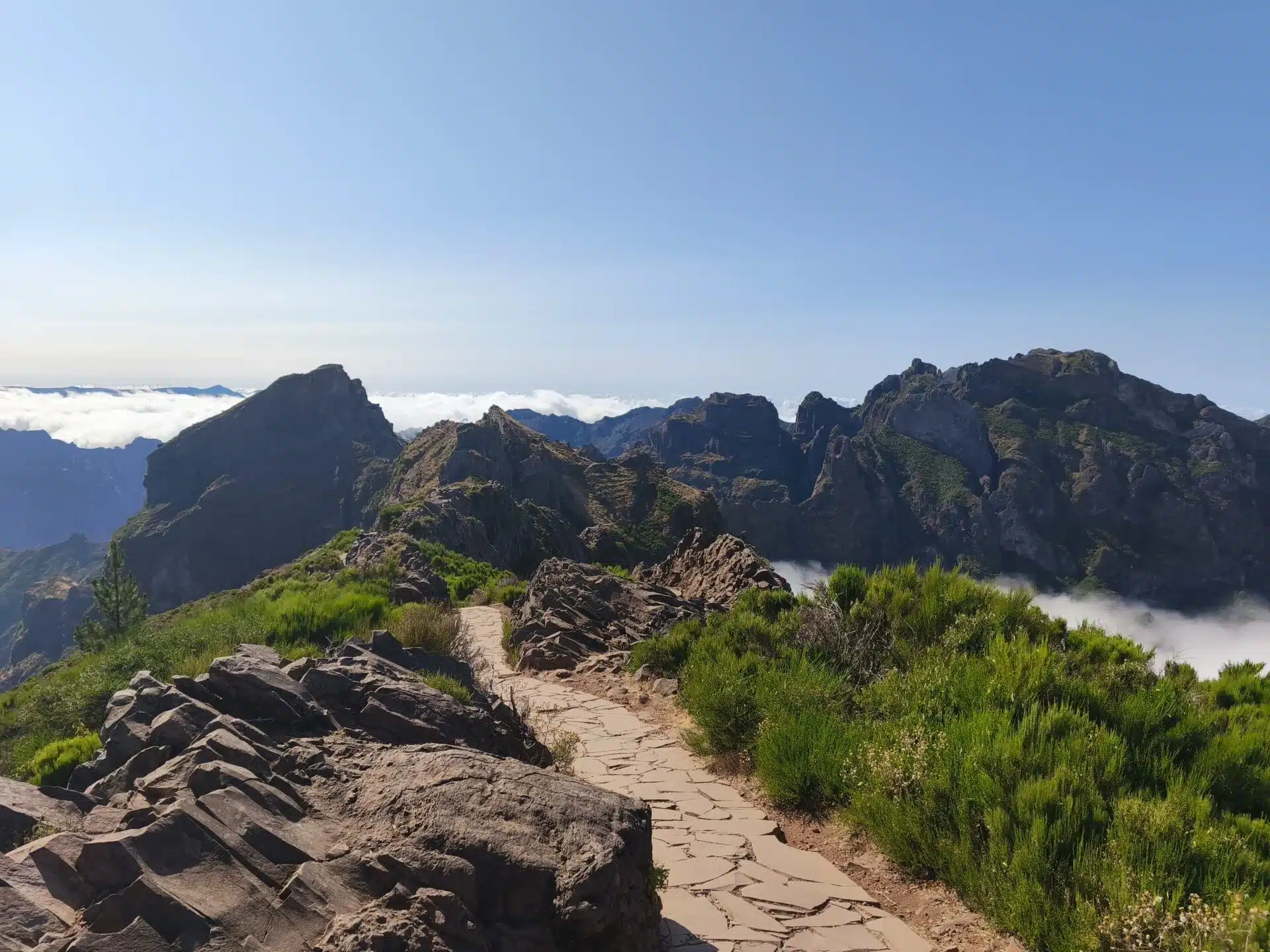 pico - hiking transfers