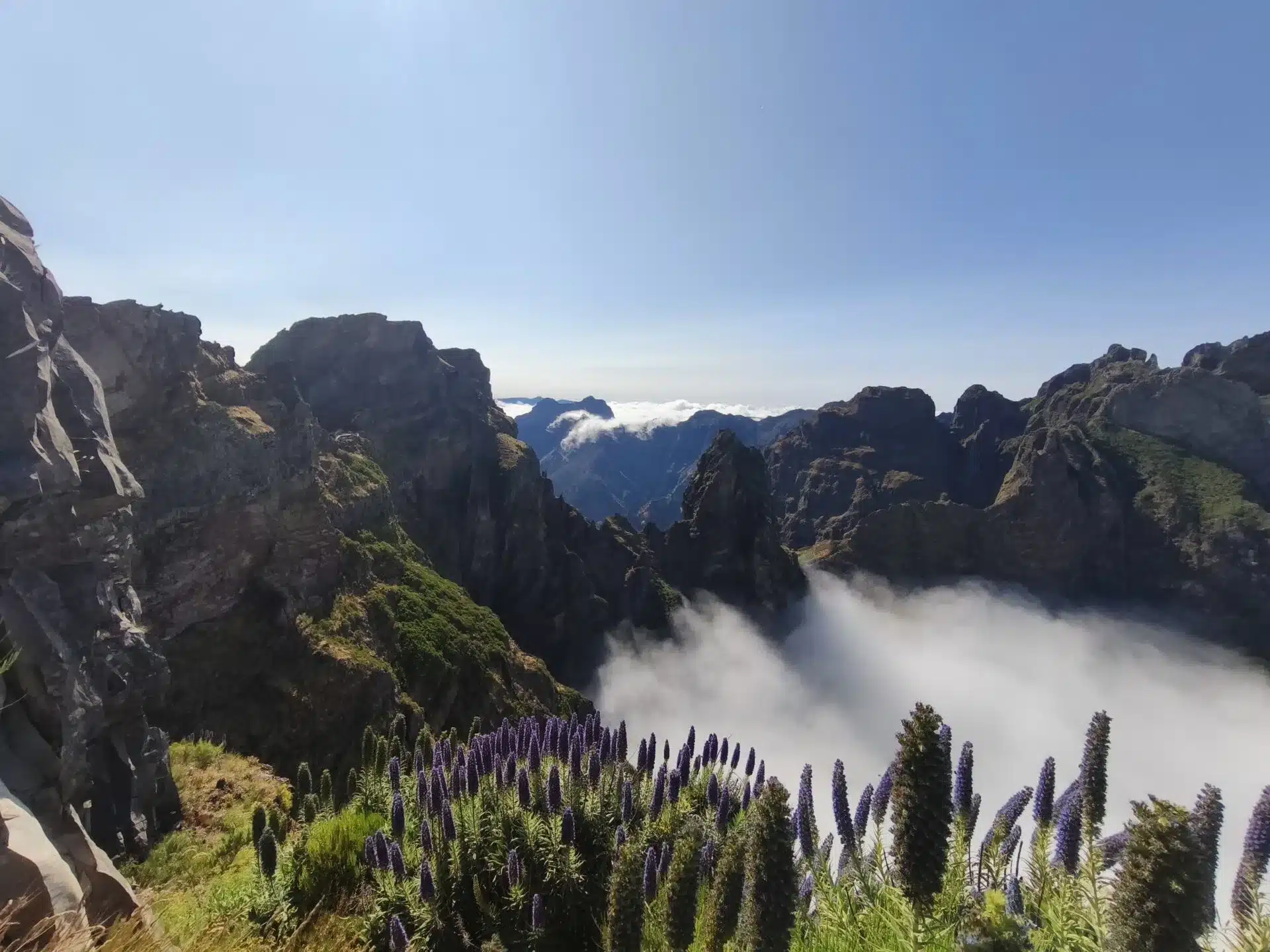 pico - hiking transfers