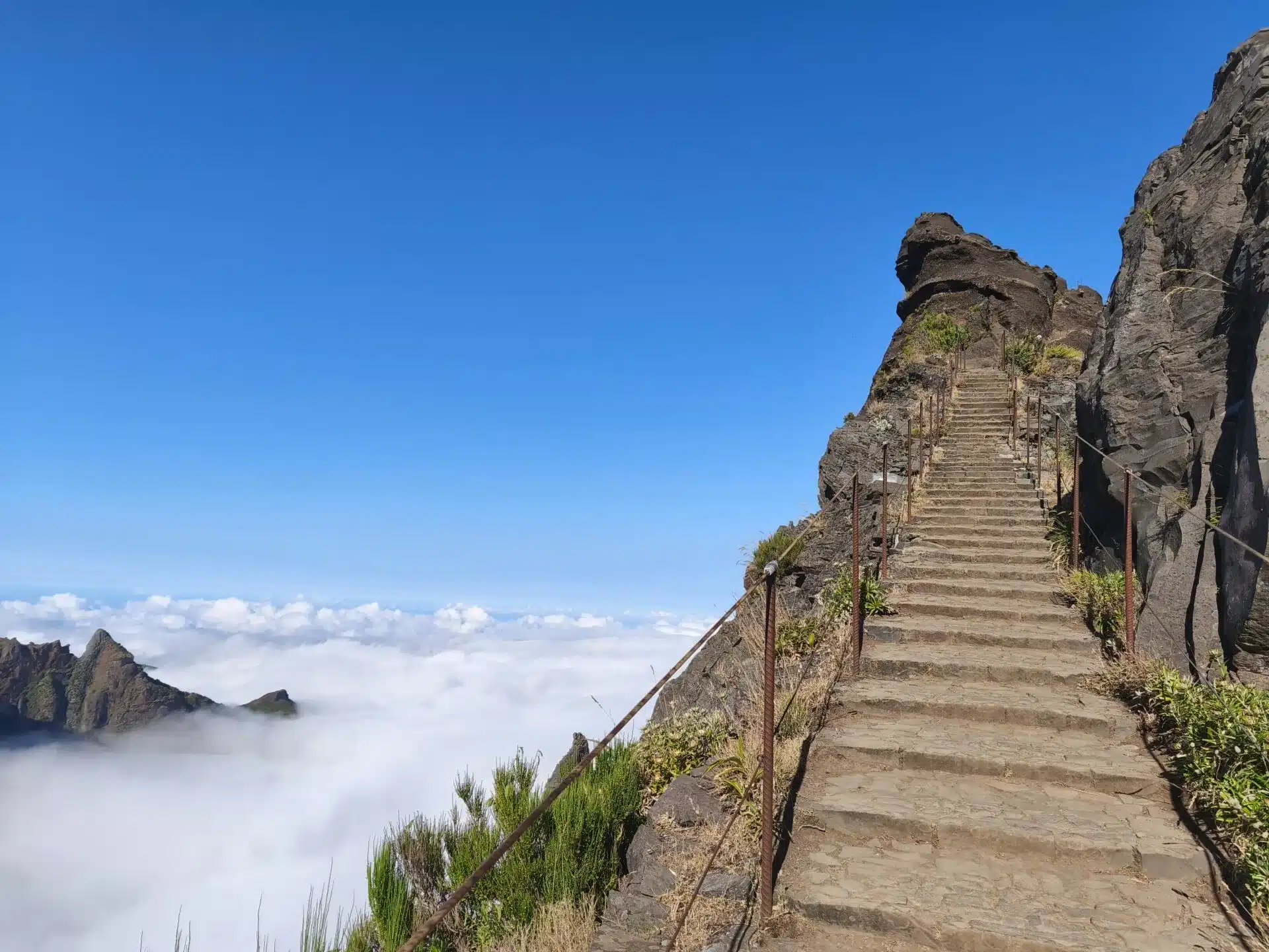 pico - hiking transfers