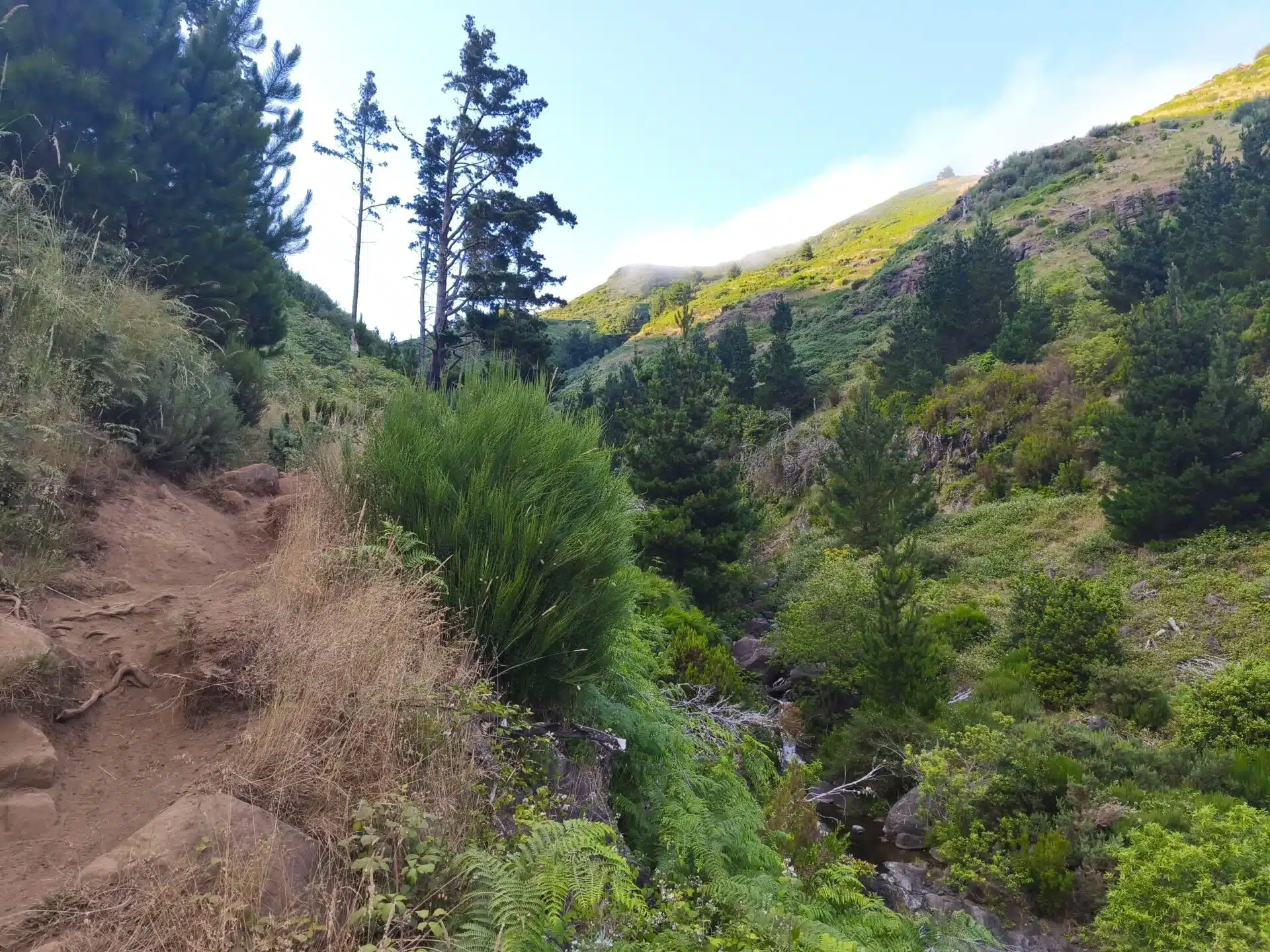 pico - hiking transfers