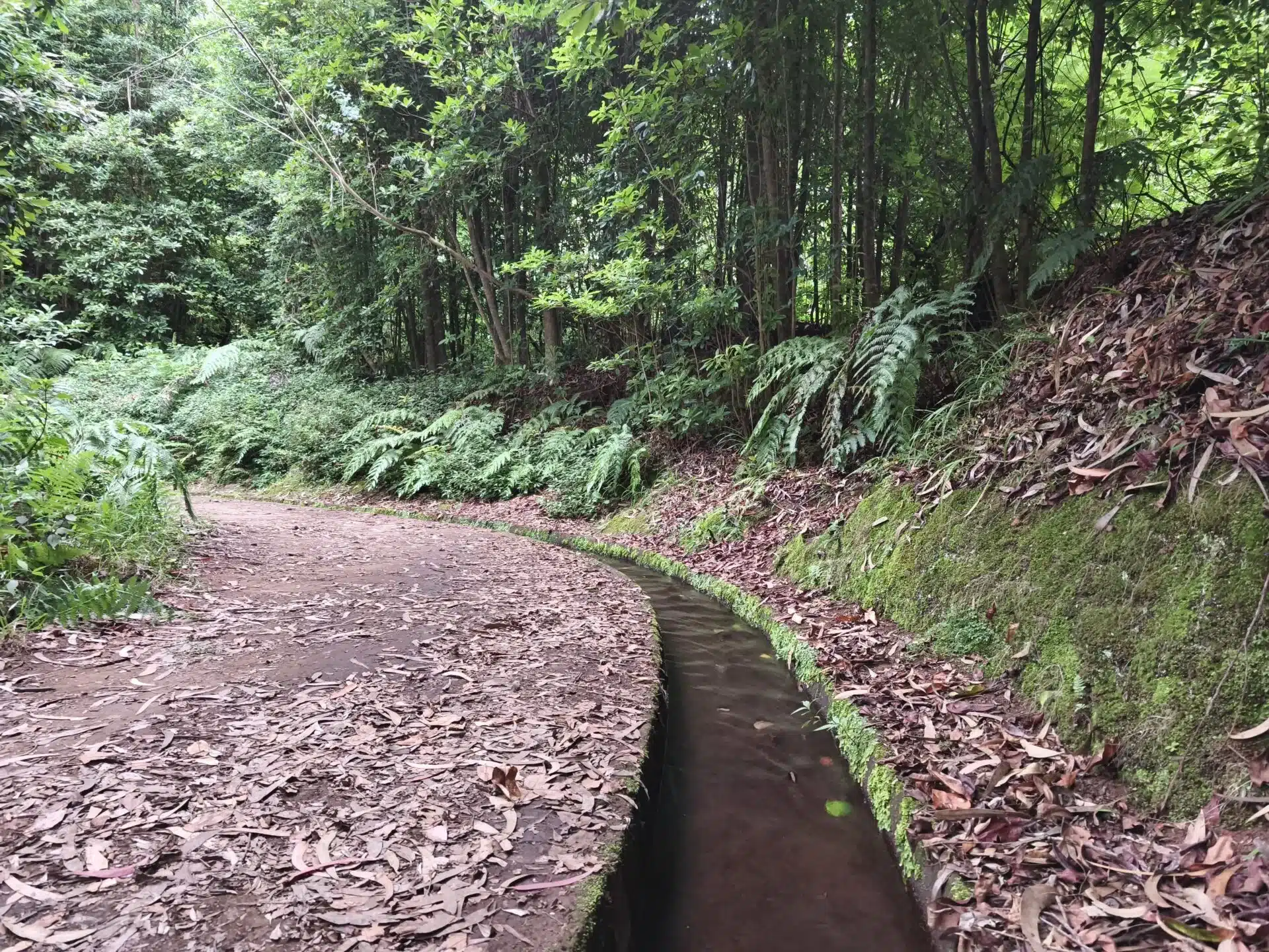 levada do rei - hiking transfers