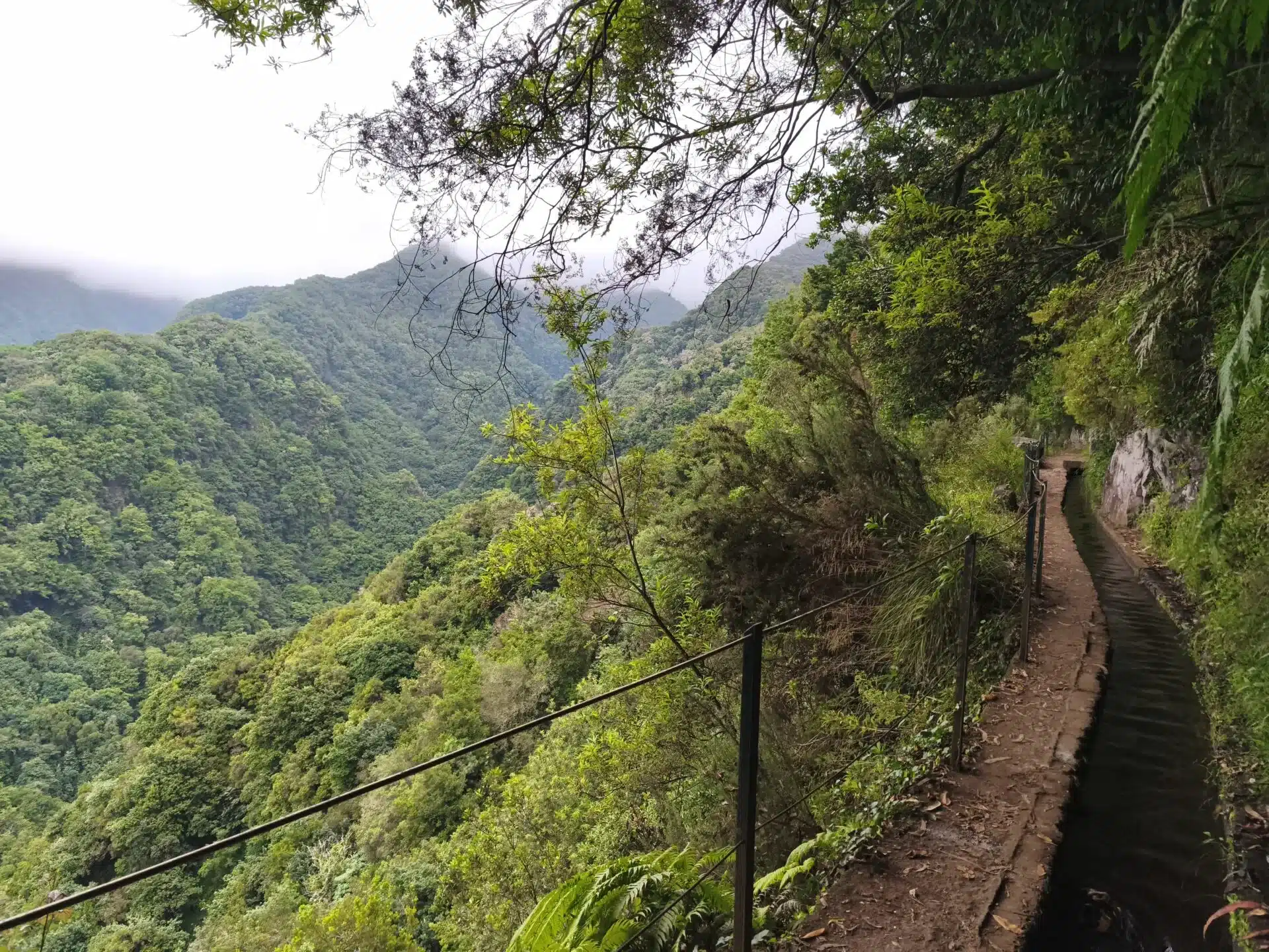 levada do rei - hiking transfers