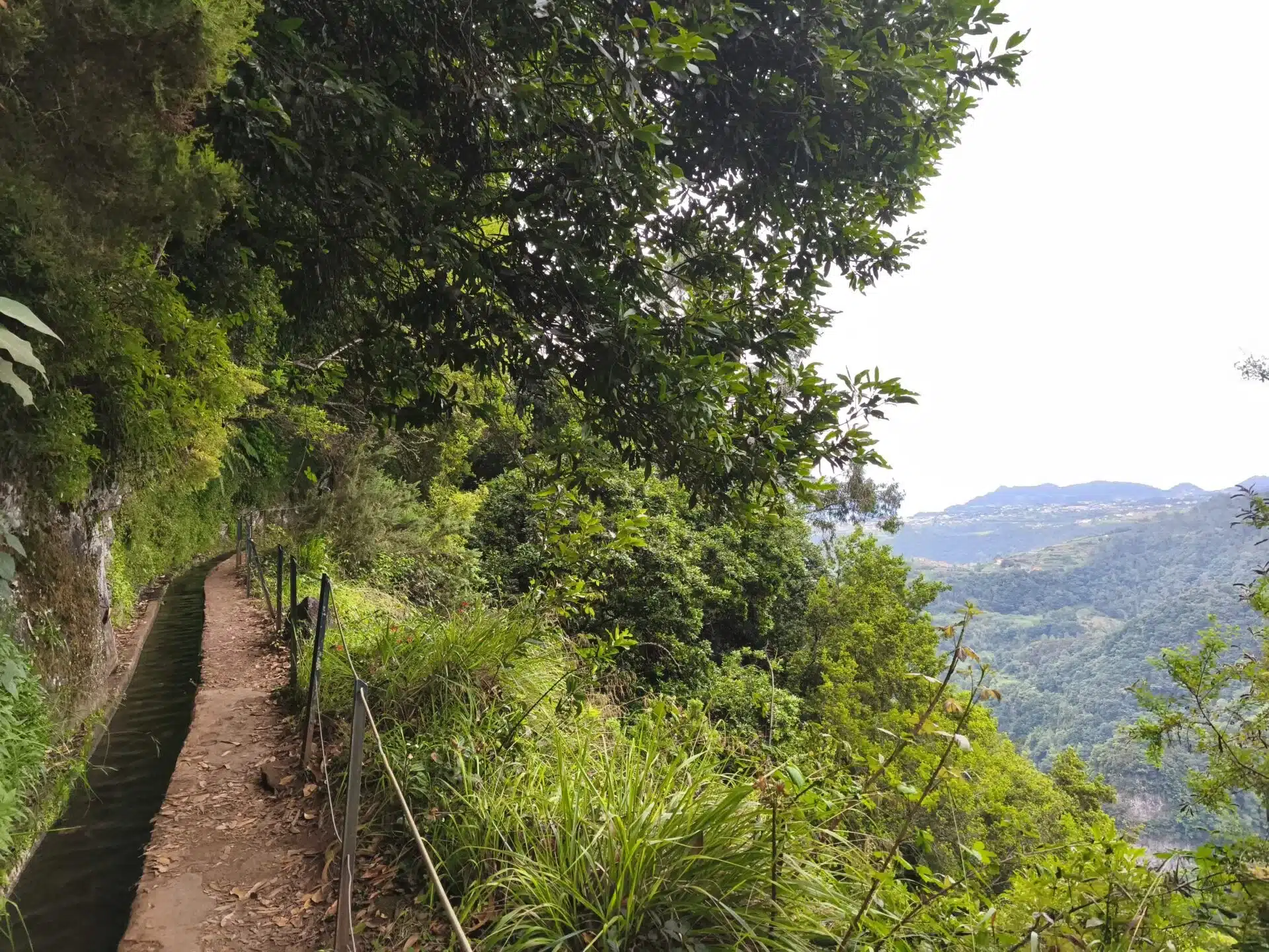 levada do rei - hiking transfers