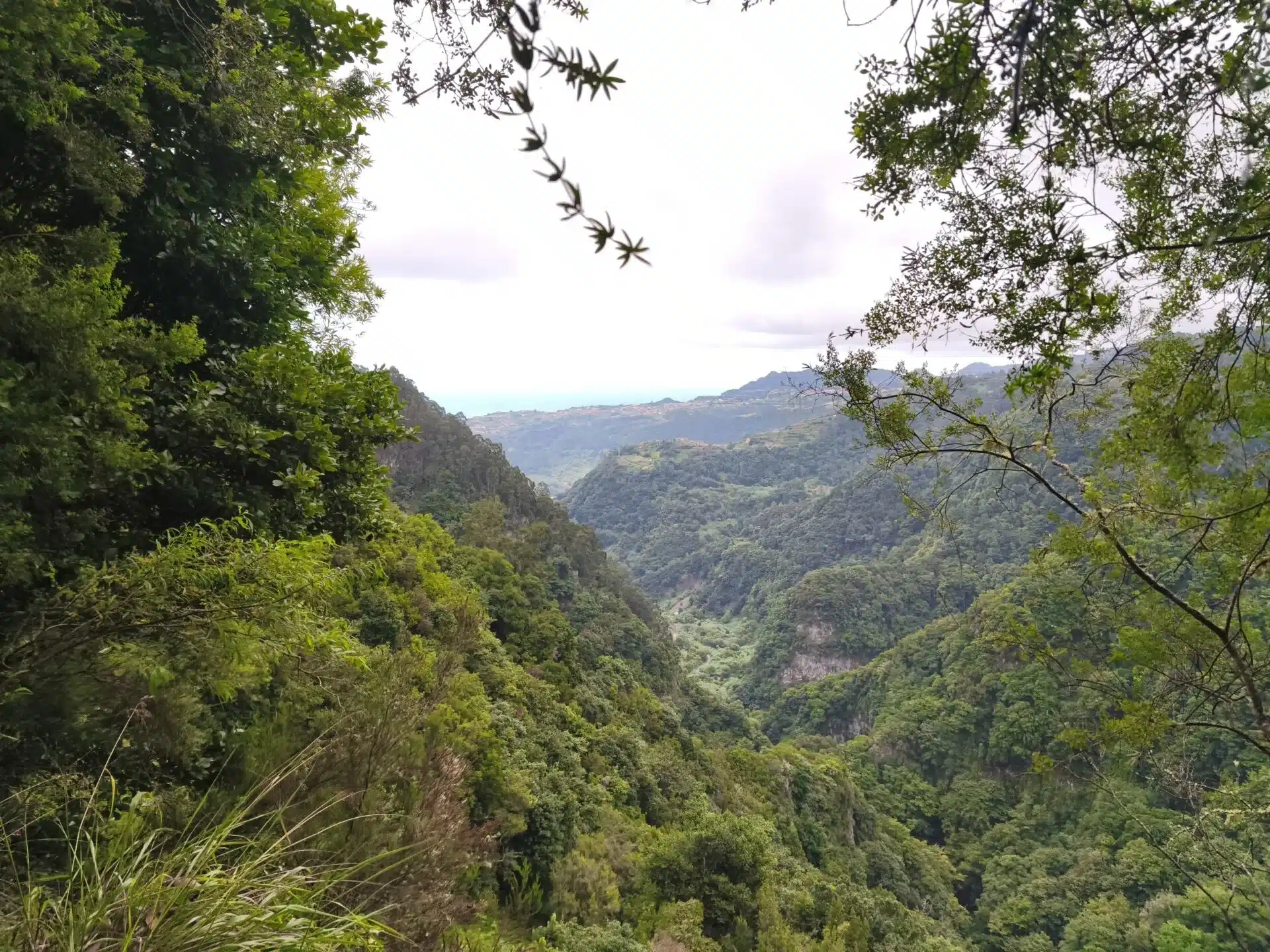 levada do rei - hiking transfers