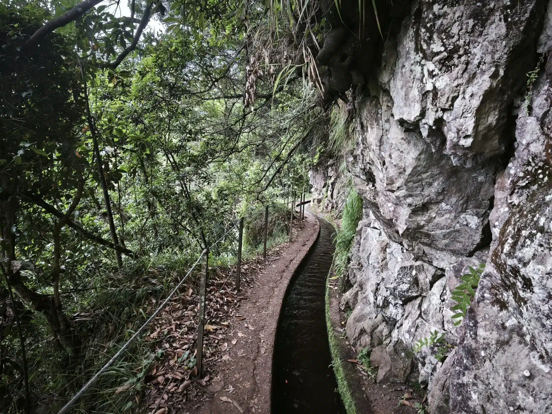 levada do rei - hiking transfers