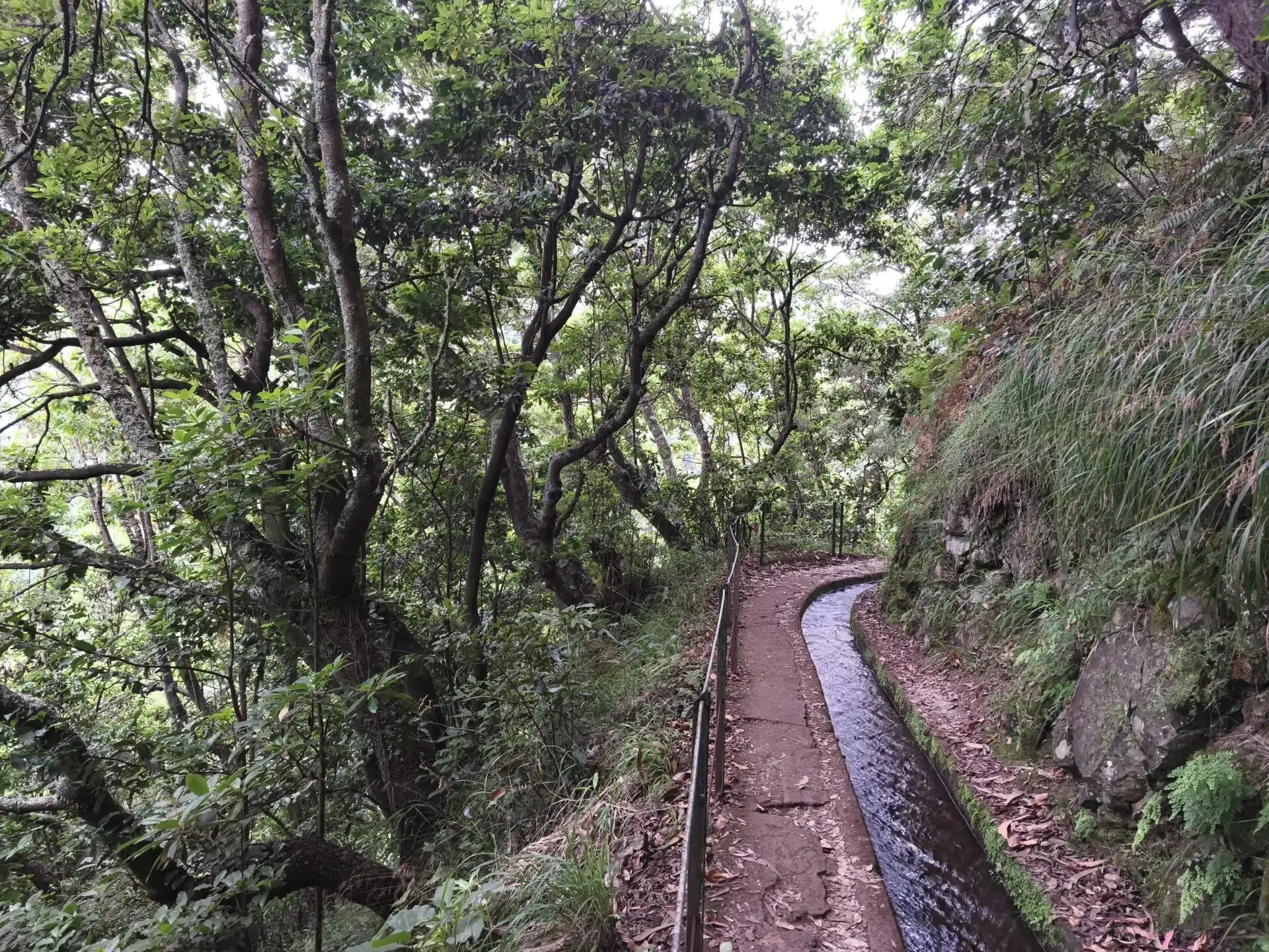 levada do rei - hiking transfers