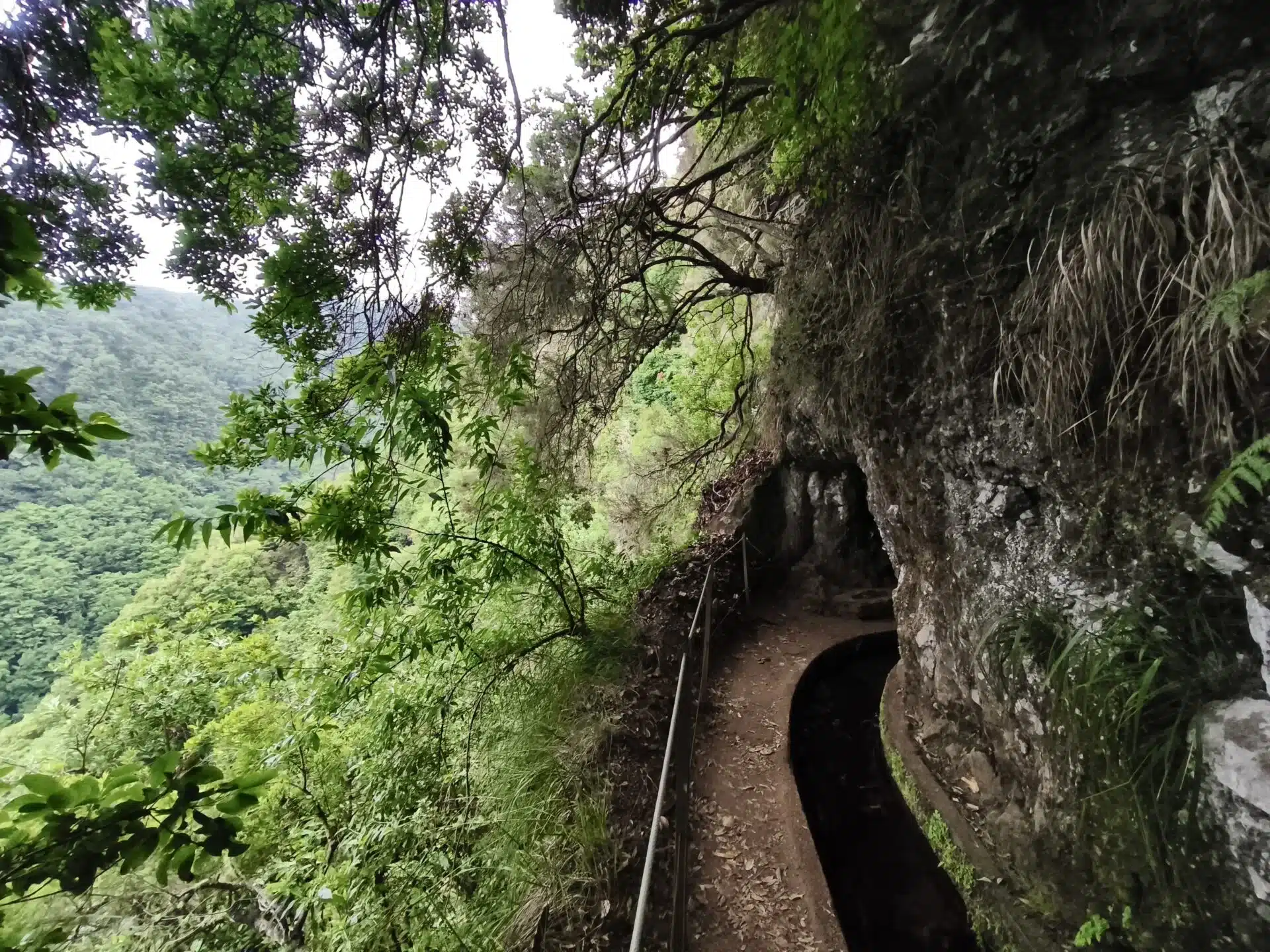 levada do rei - hiking transfers
