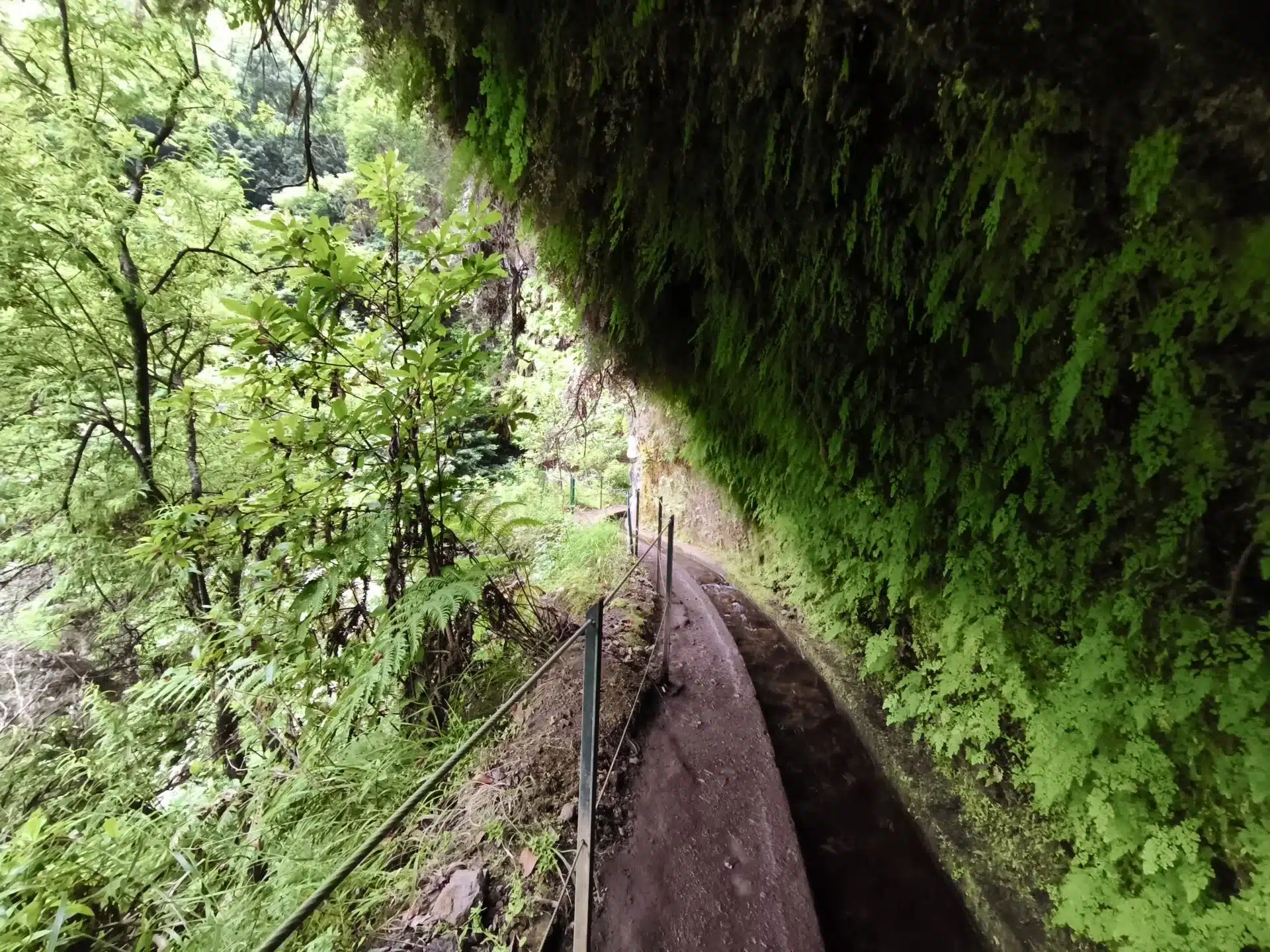 levada do rei - hiking transfers