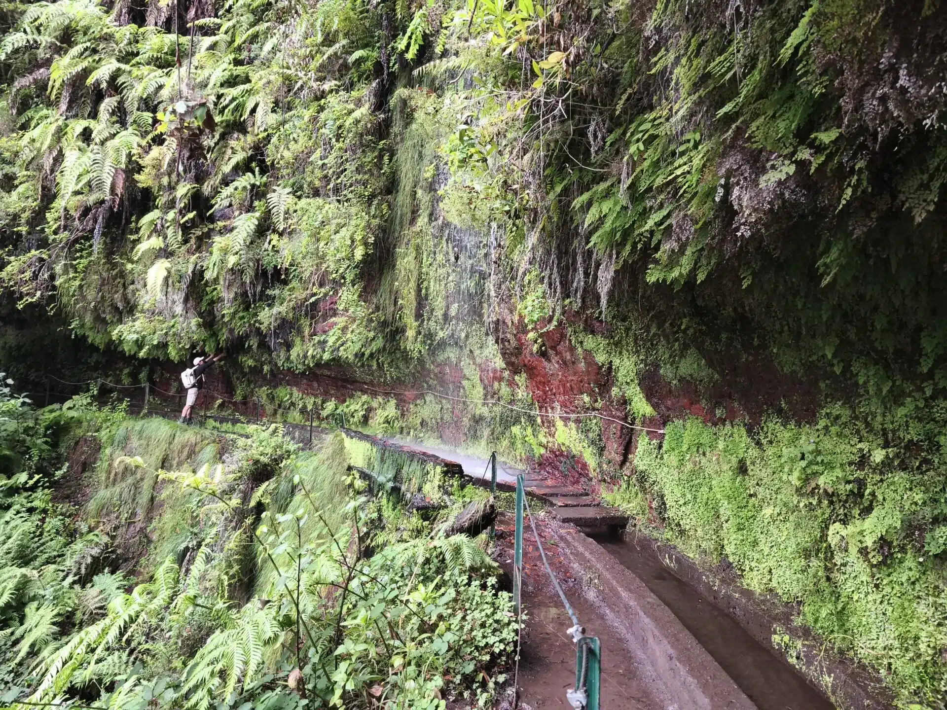 levada do rei - hiking transfers