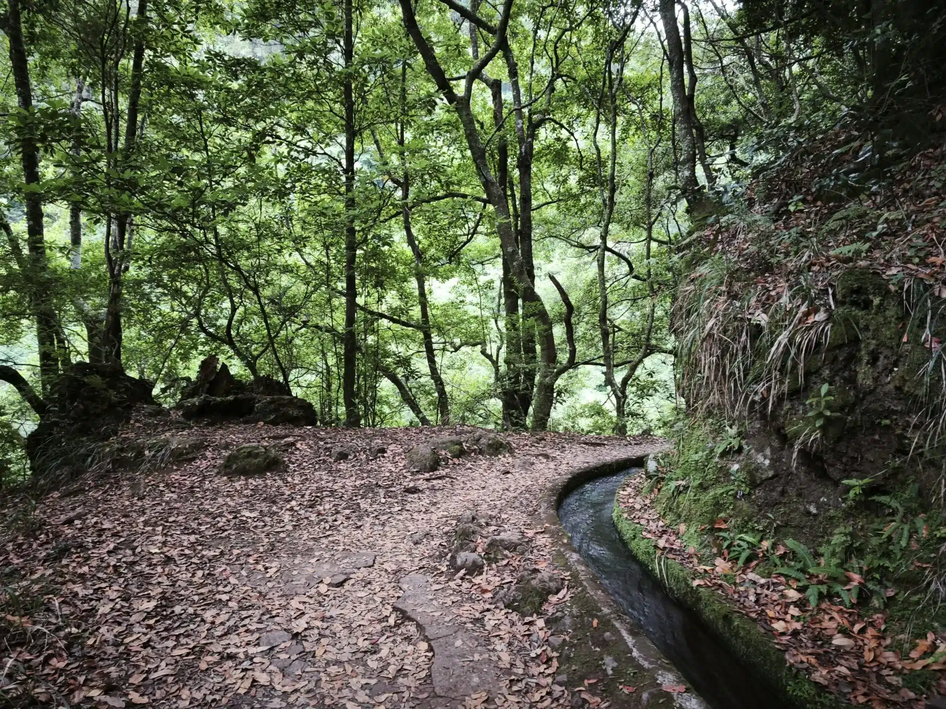 levada do rei - hiking transfers