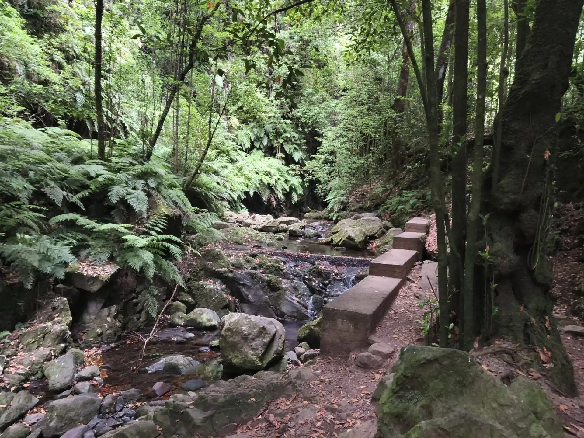 levada do rei - hiking transfers