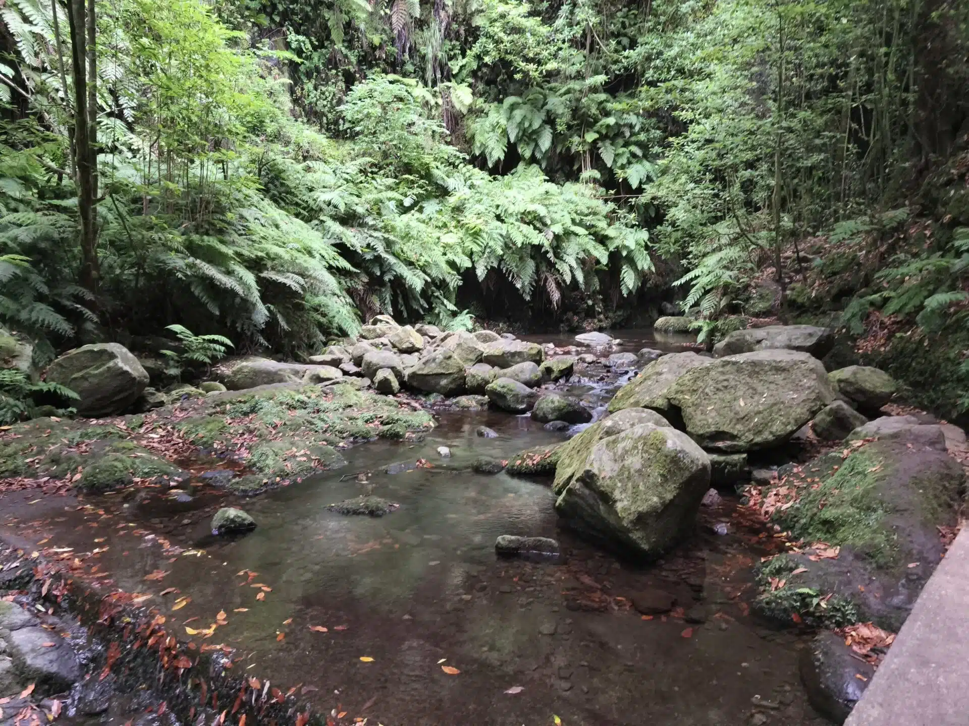 levada do rei - hiking transfers