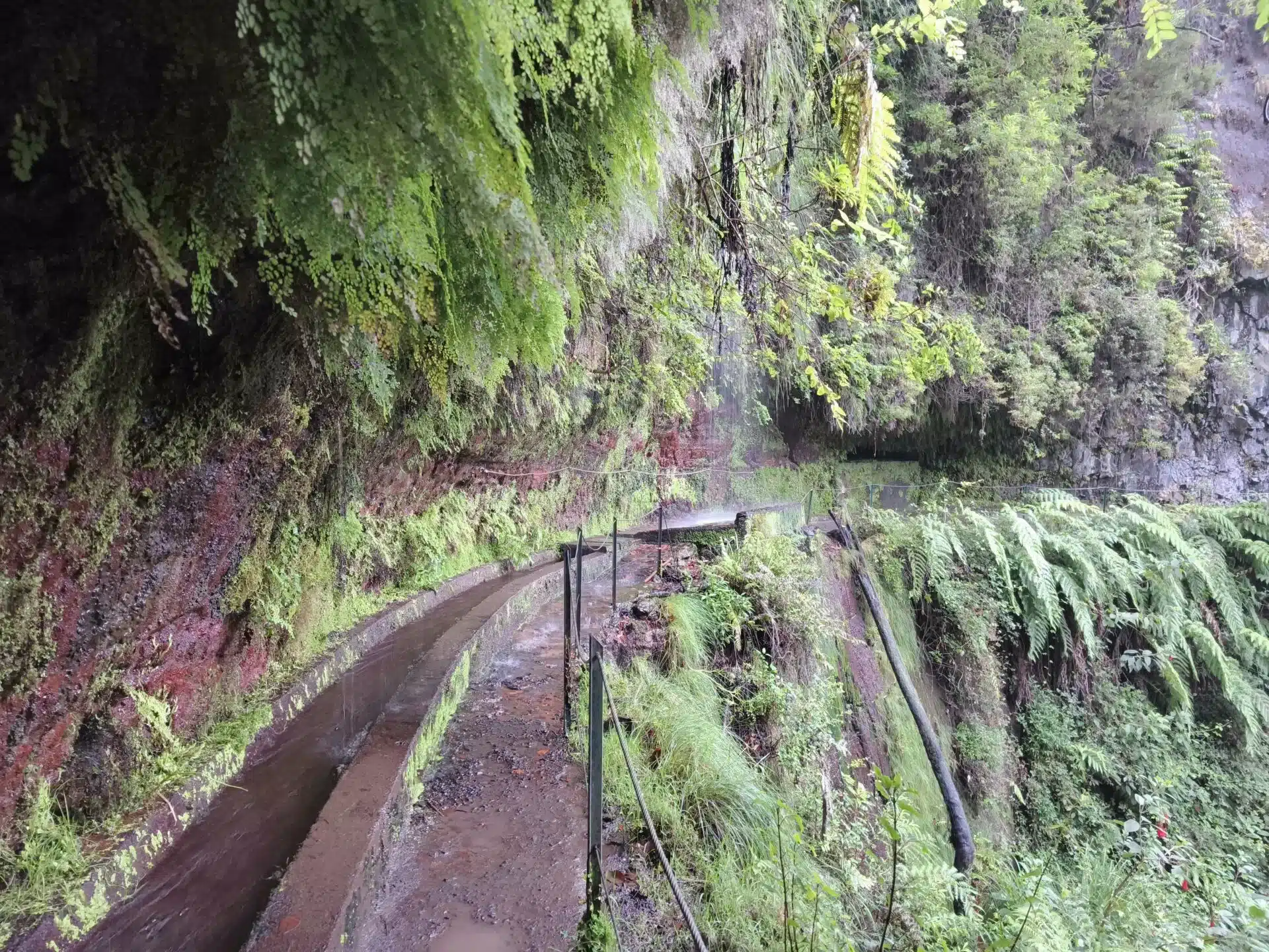 levada do rei - hiking transfers