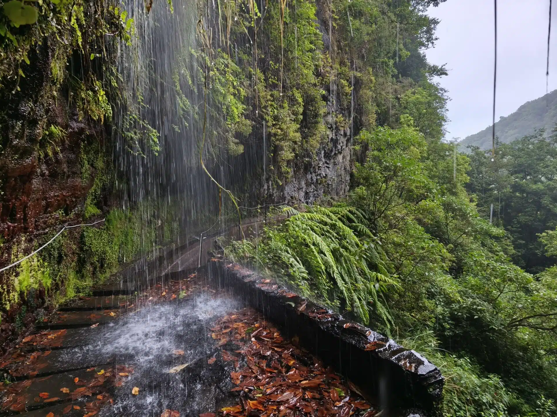 levada do rei - hiking transfers