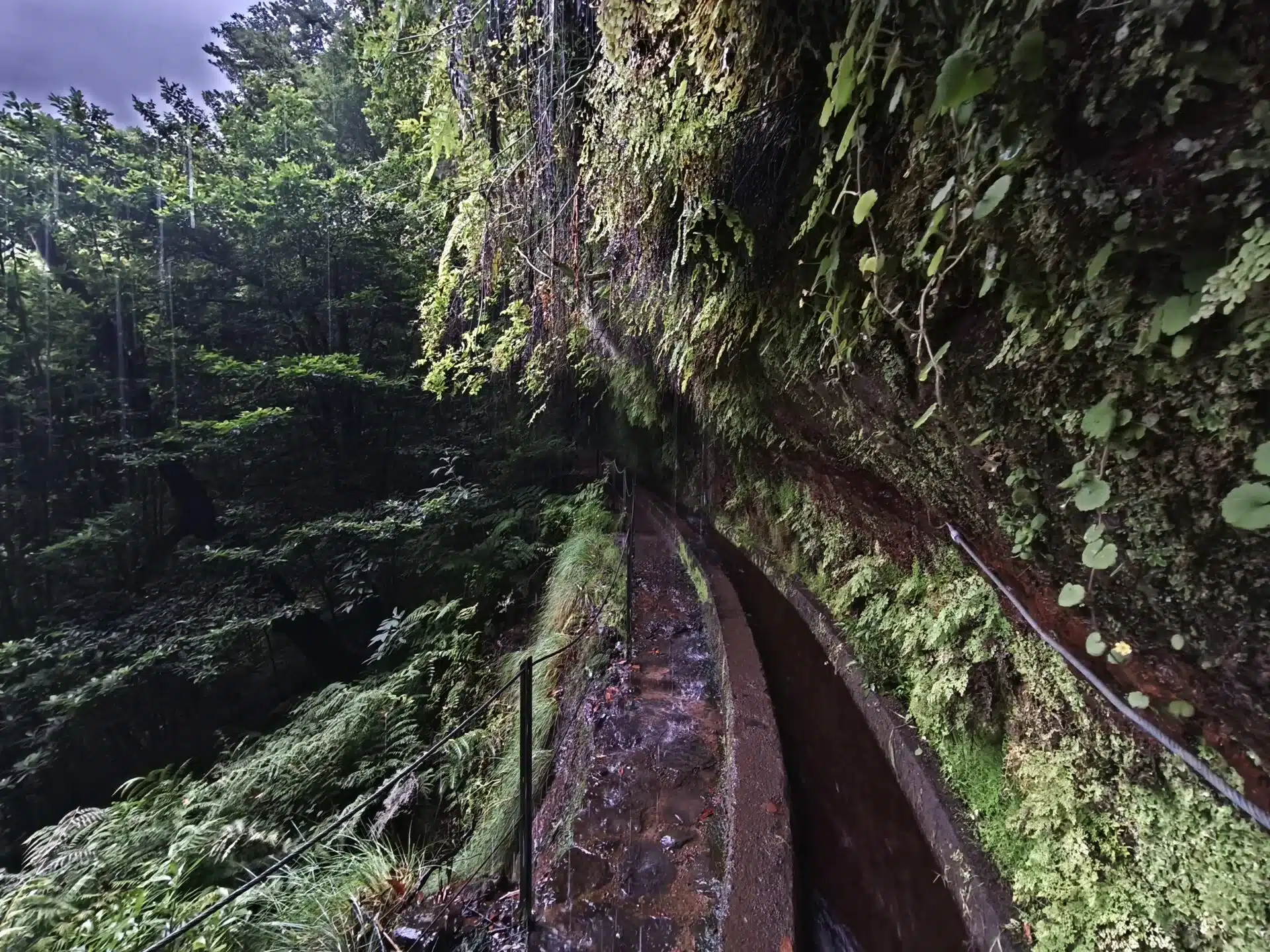 levada do rei - hiking transfers