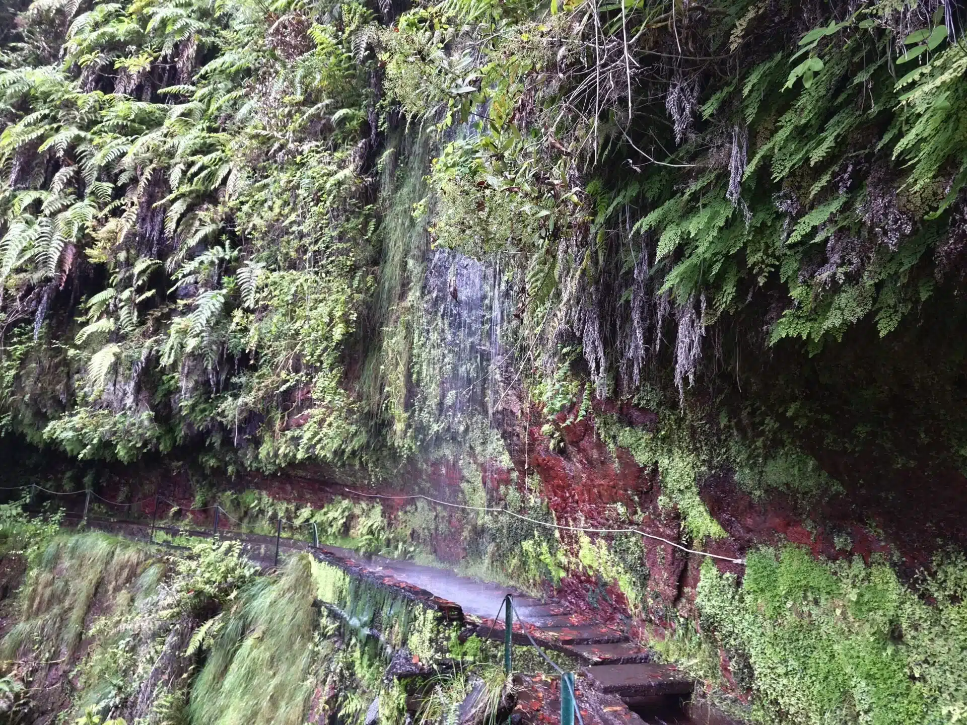 levada do rei - hiking transfers