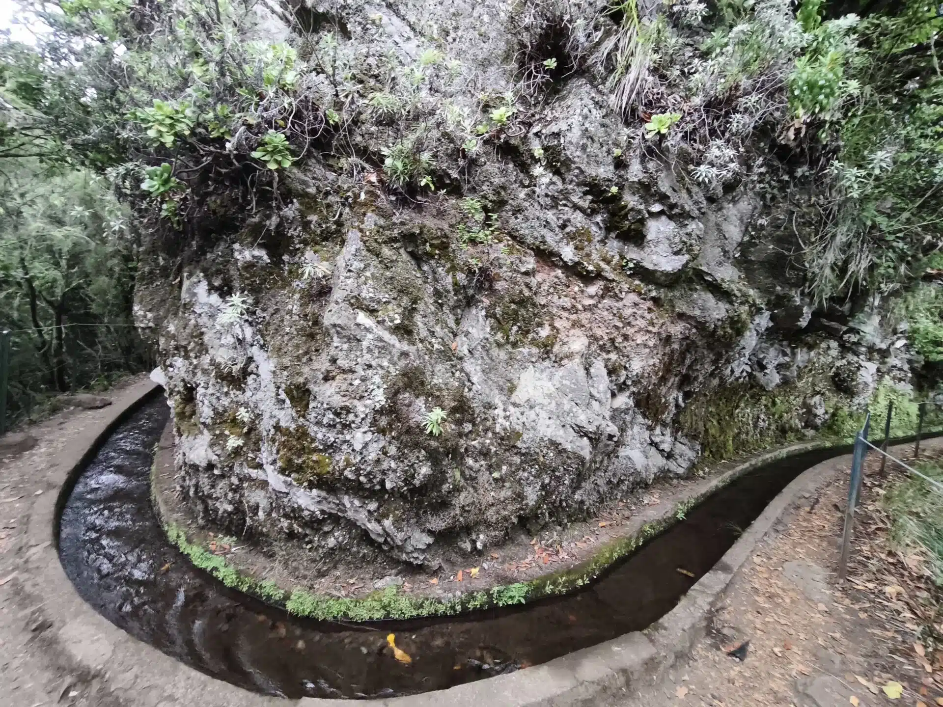 levada do rei - hiking transfers