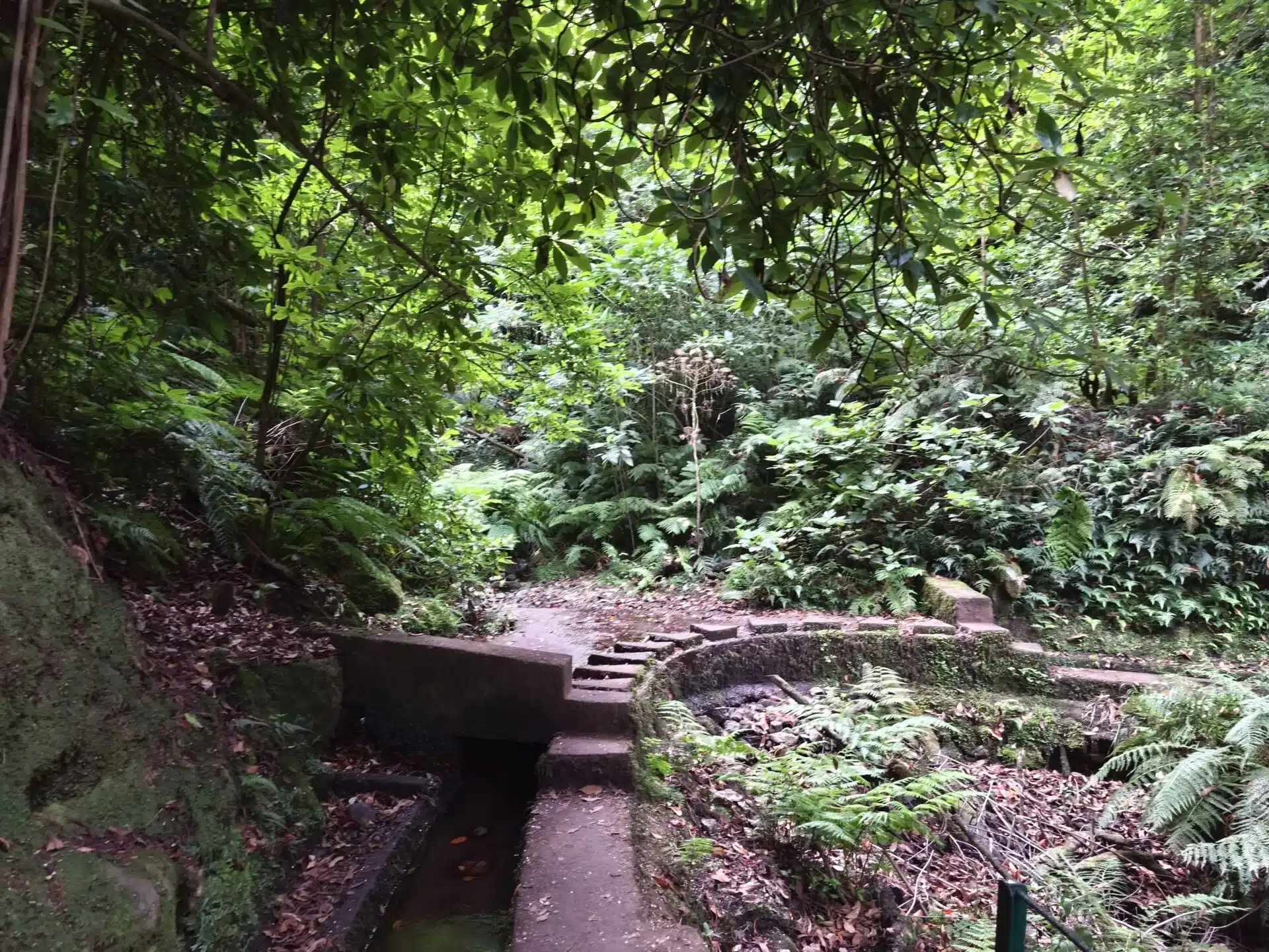 levada do rei - hiking transfers