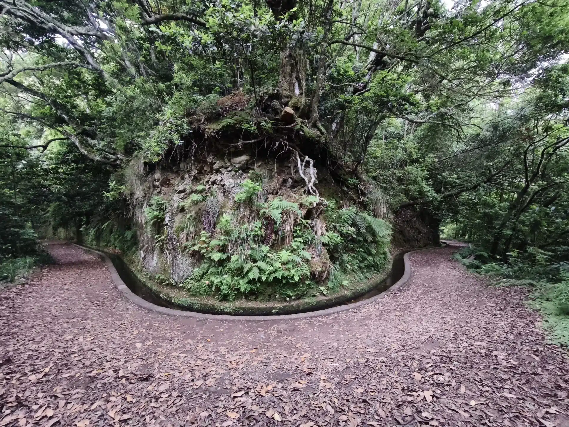 levada do rei - hiking transfers