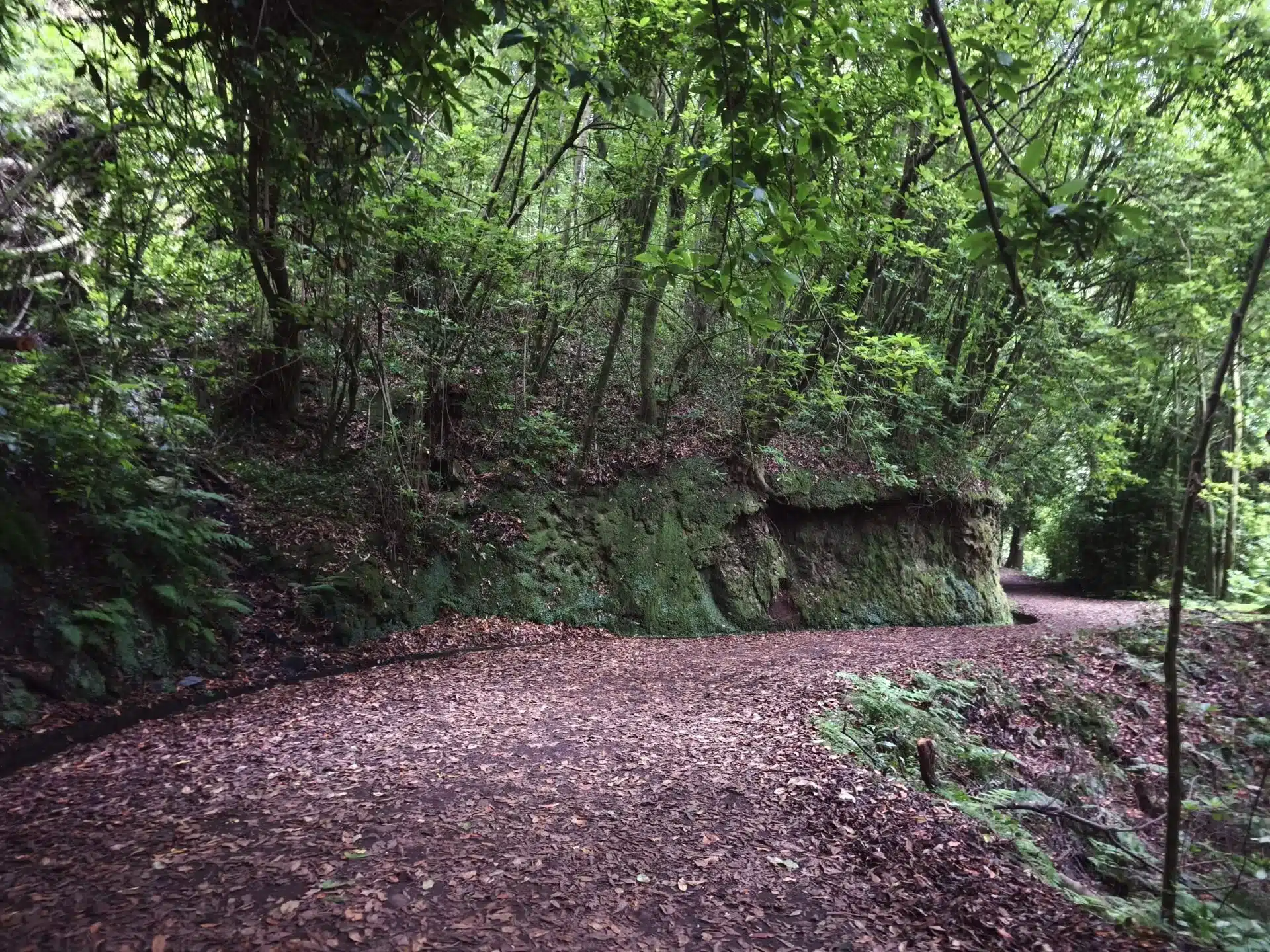 levada do rei - hiking transfers